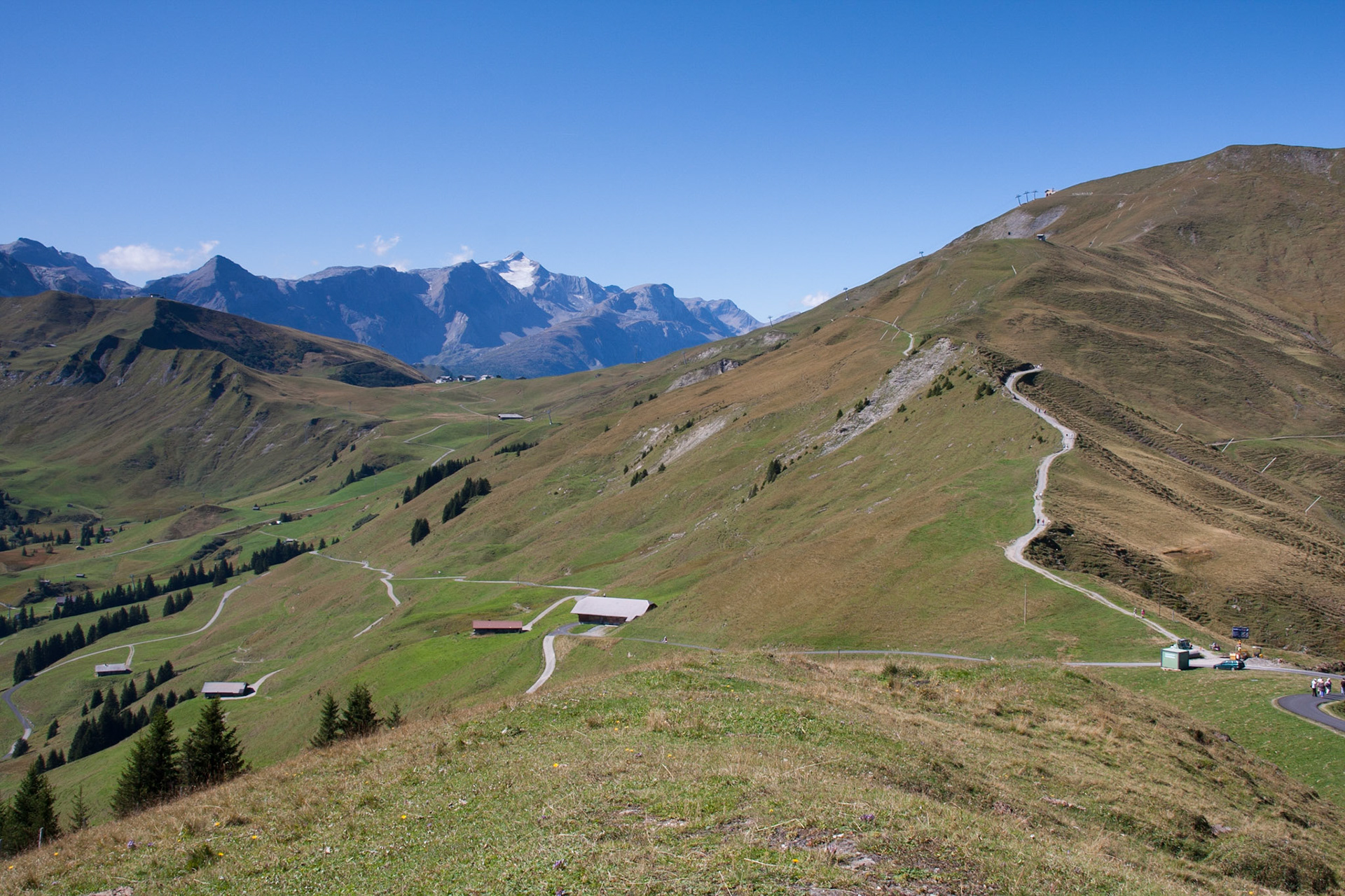 View from Sillerenbuhl