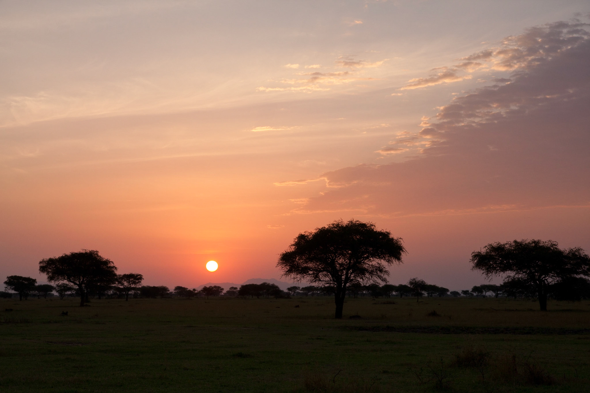 Sunset over the Serengeti