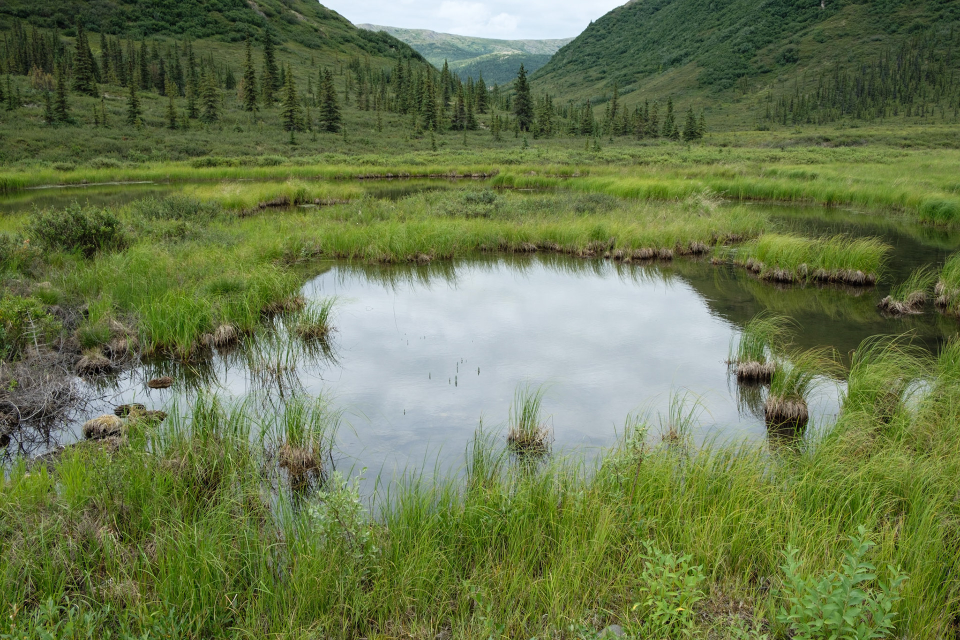 Kettle pond opposite Wonder Lake