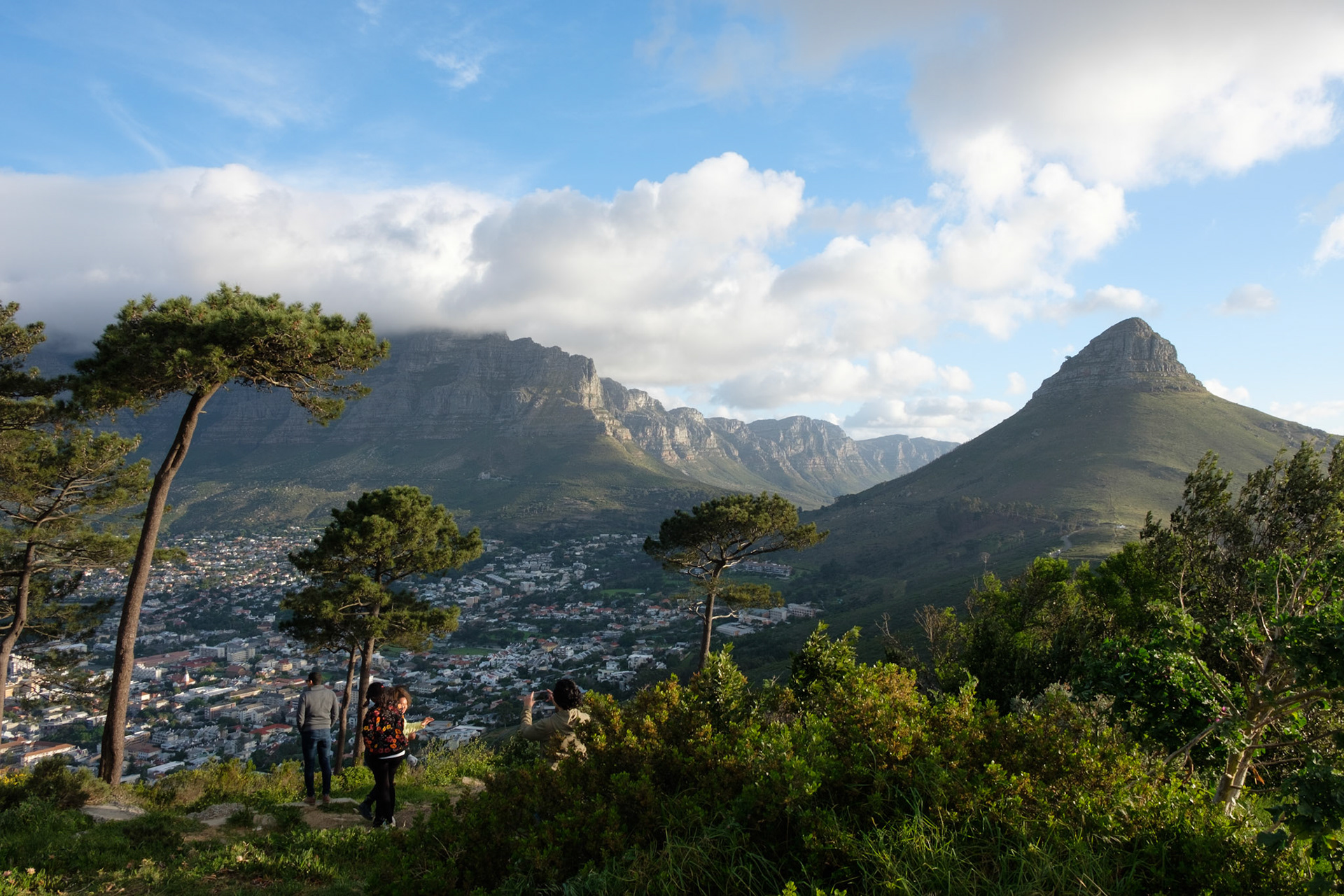 Table Mountain and Lions Head, from Signal Hill