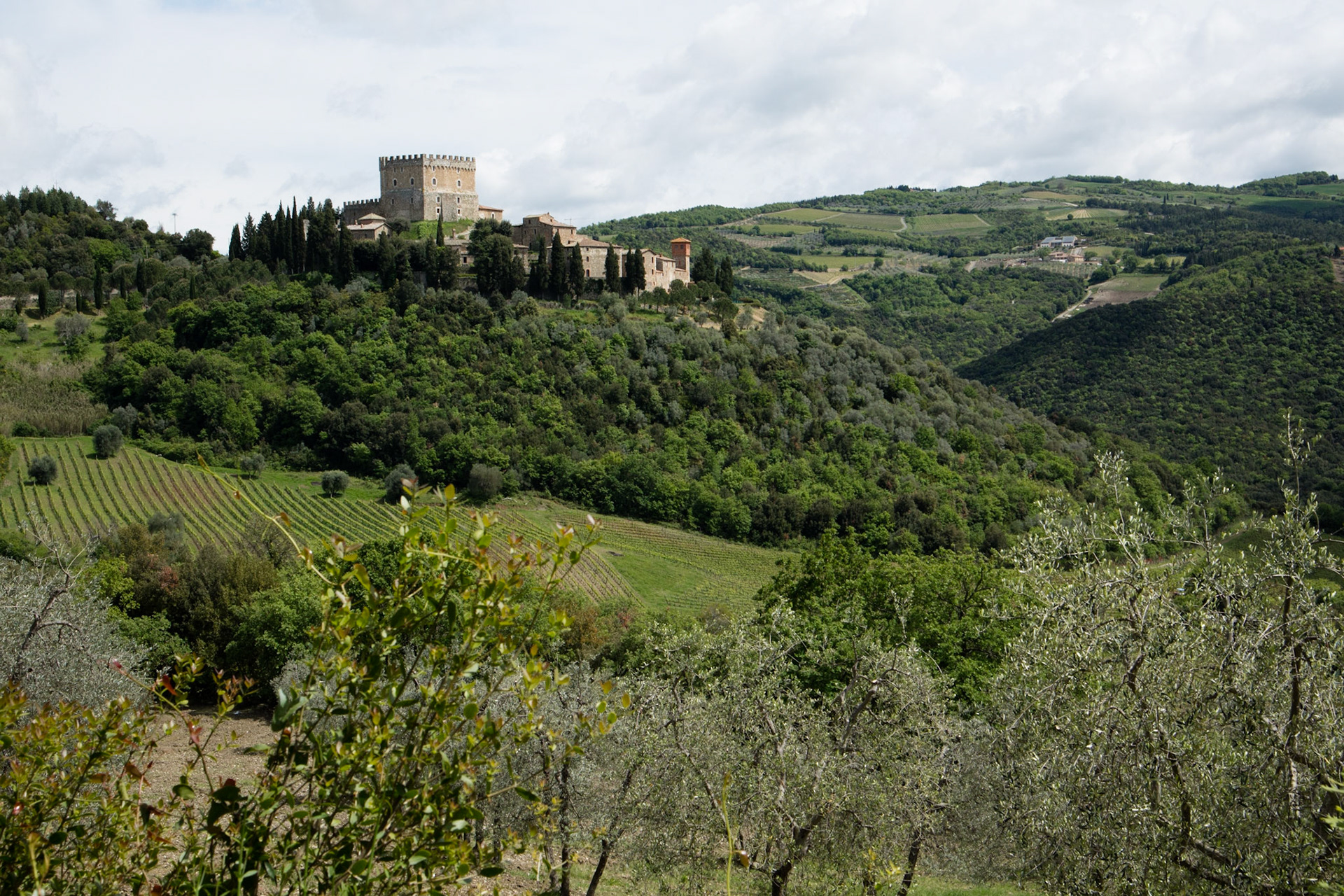 Ripa d'Orcia
