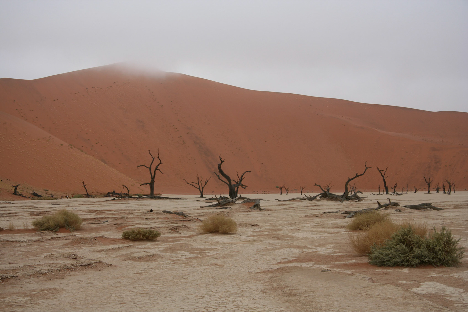 Dead Vlei, with Big Daddy (the tallest dune) behind