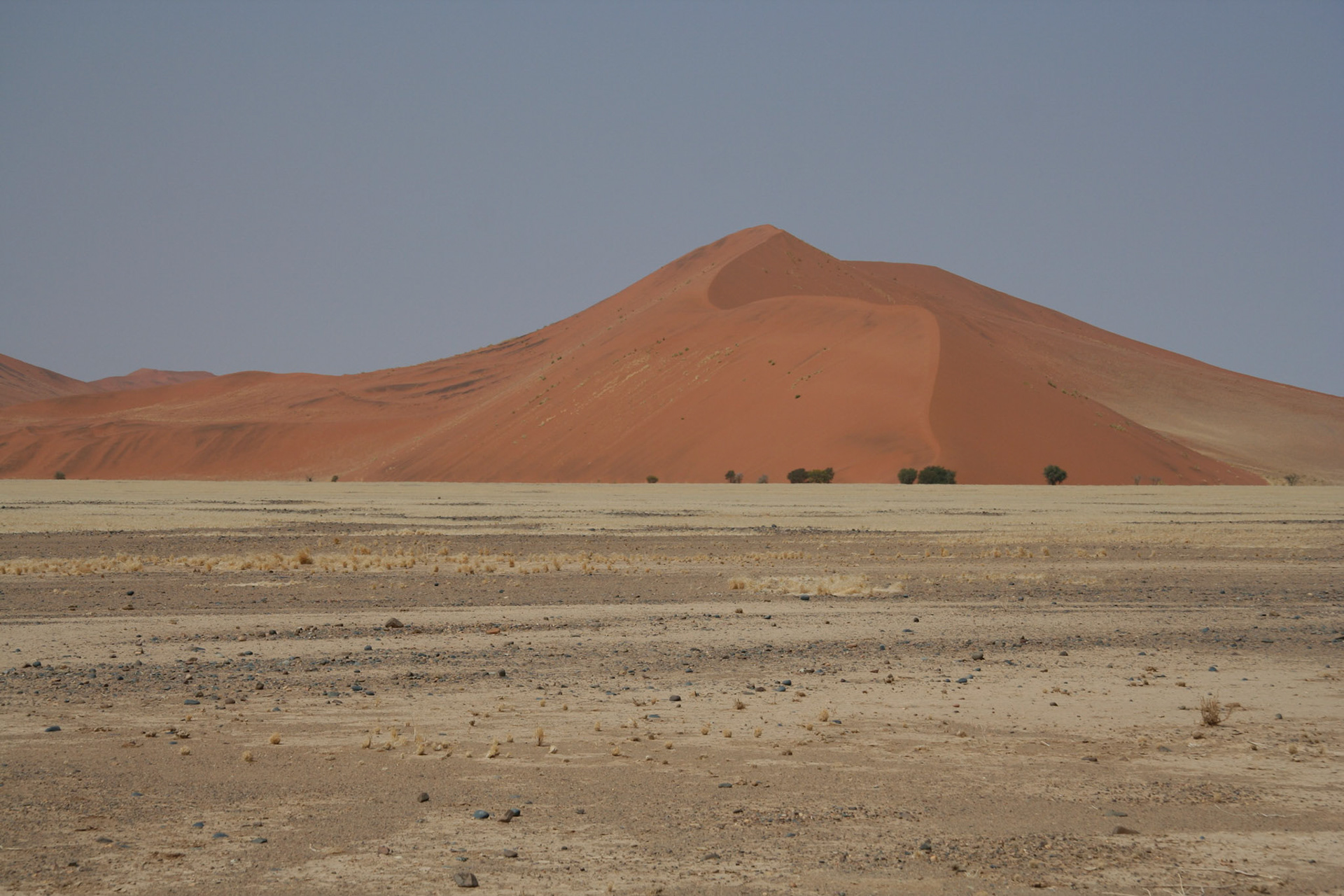 Dunes, Namib Desert
