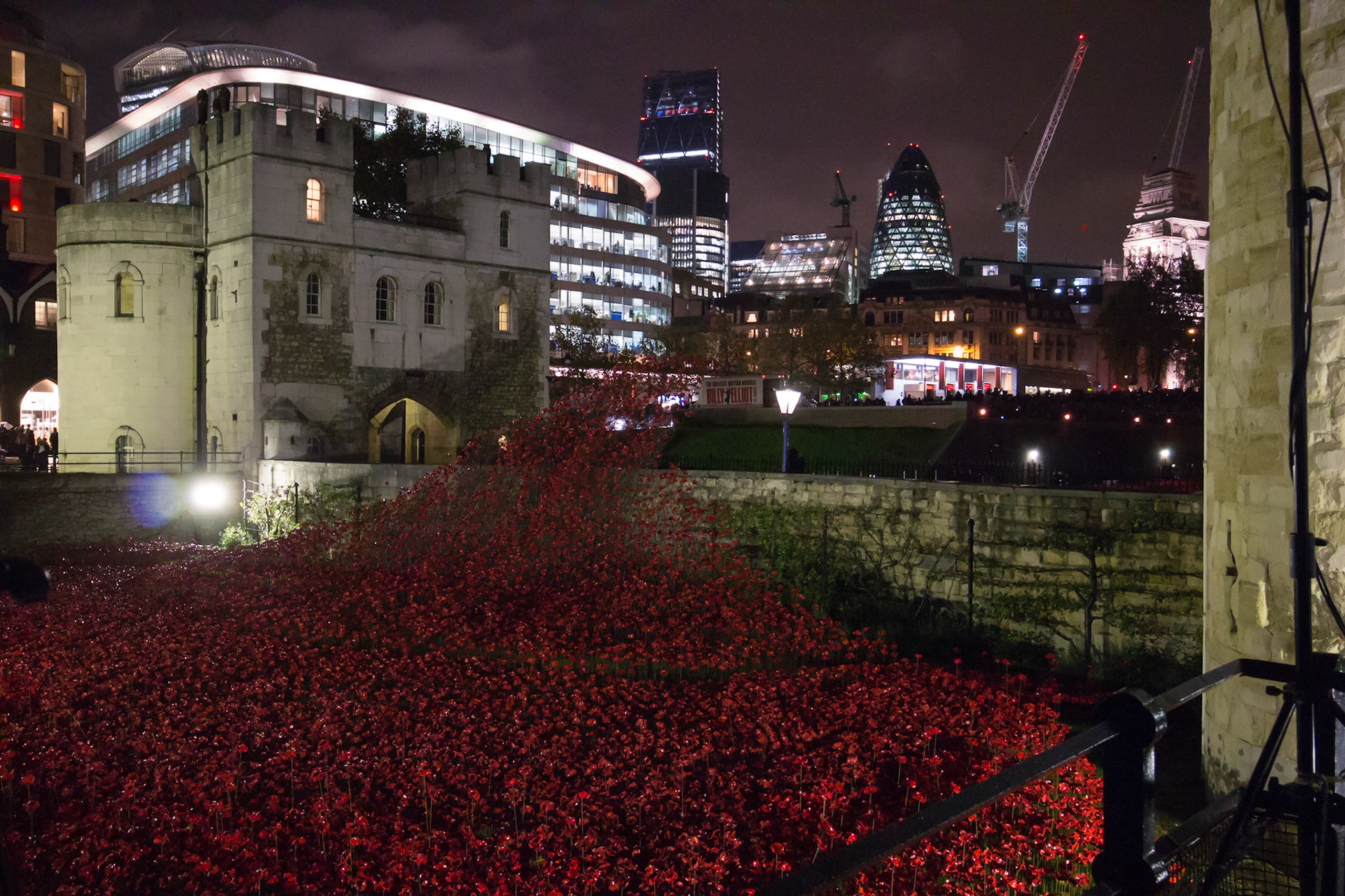 Poppies in moat at Tower of London