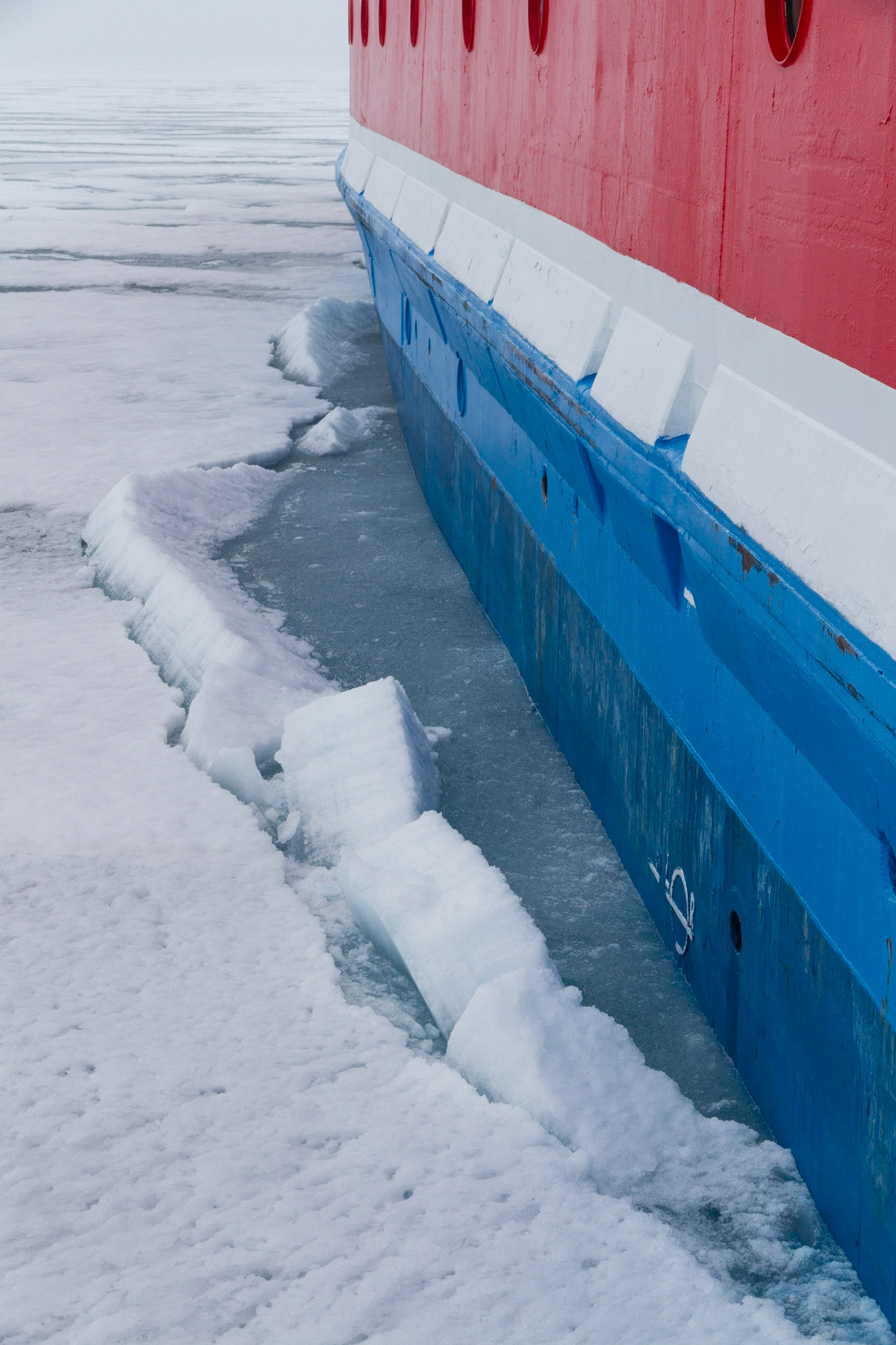 M/S Expedition in the sea ice
