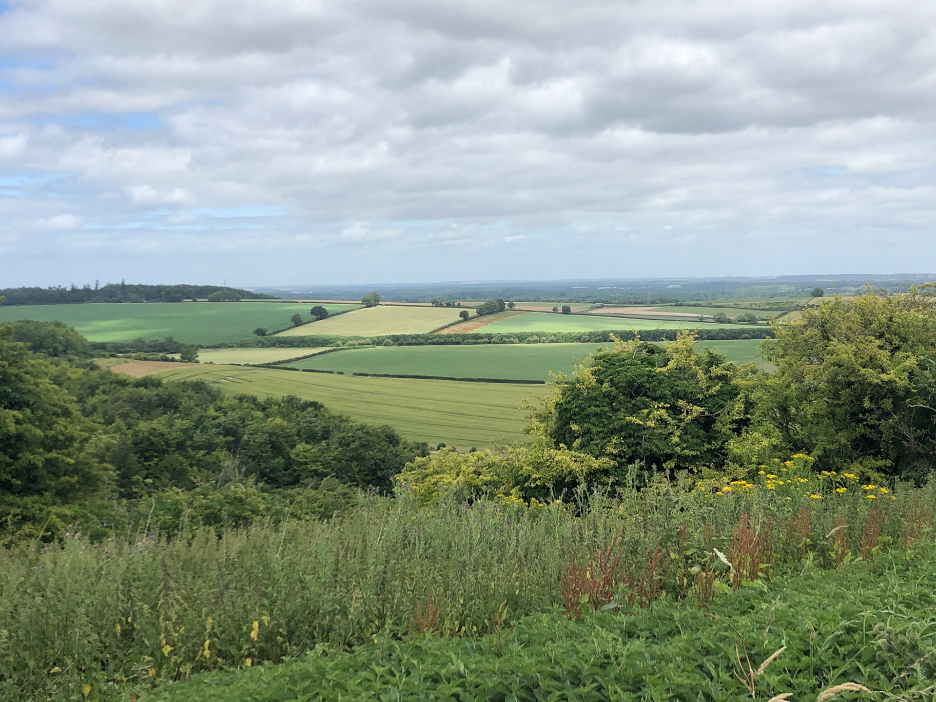 View from White Hill