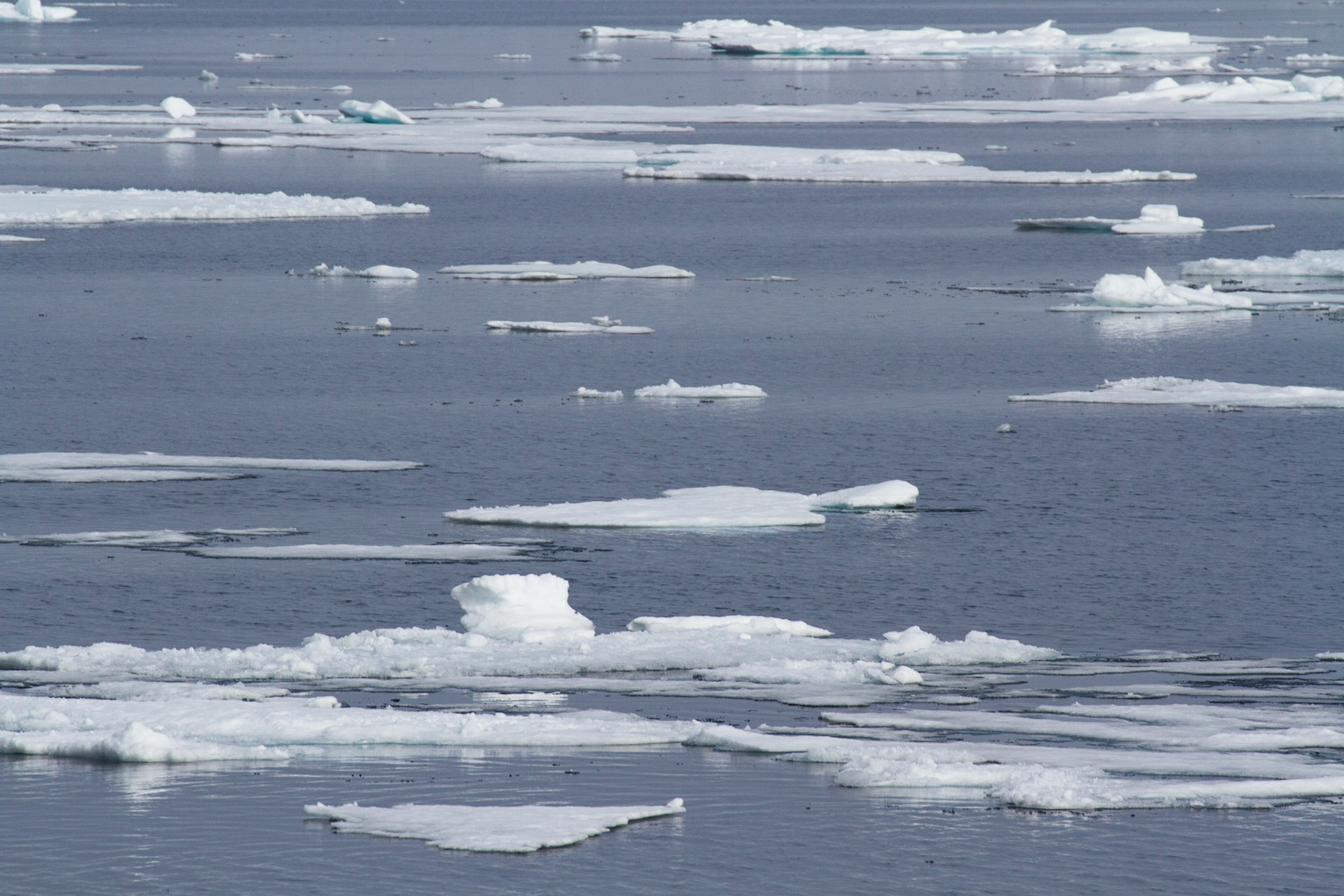 Getting into the sea ice