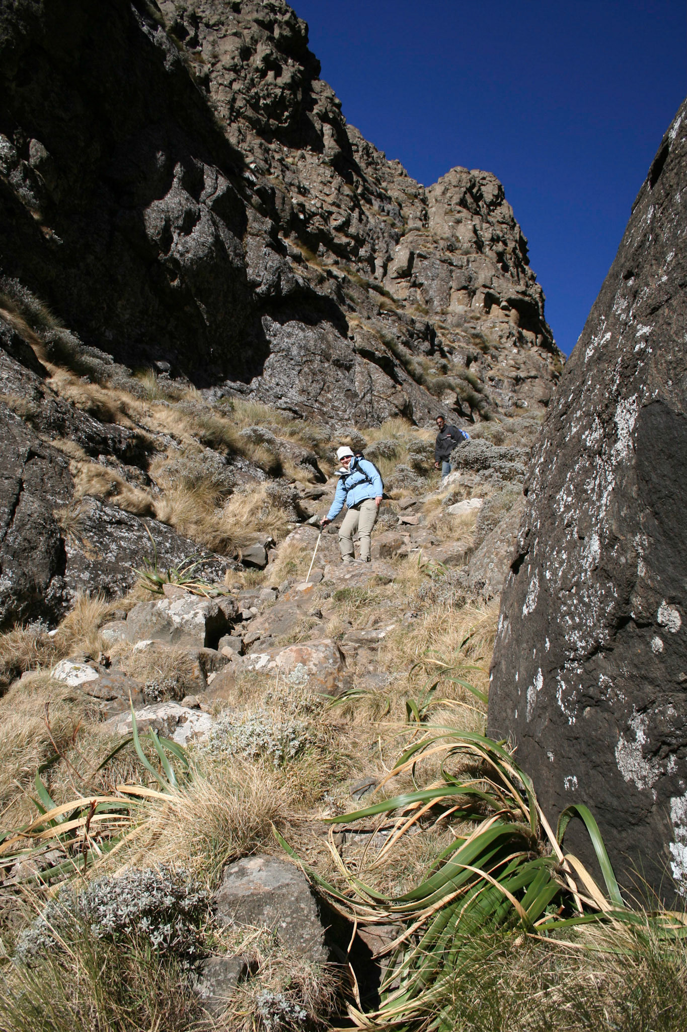 Sue coming down the gully