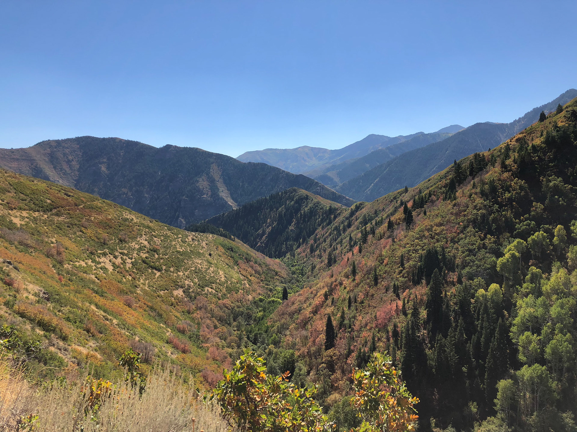 View from Sundance bike trails
