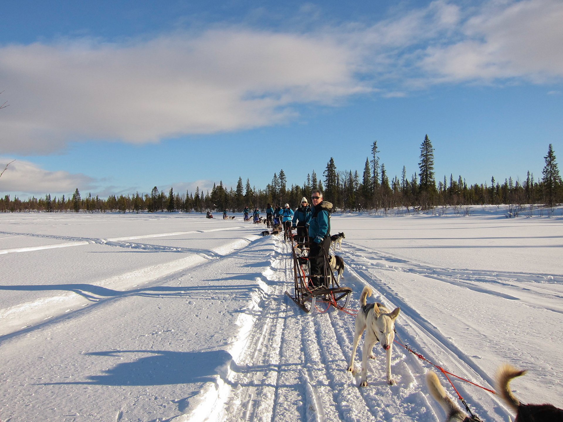 Husky sledging
