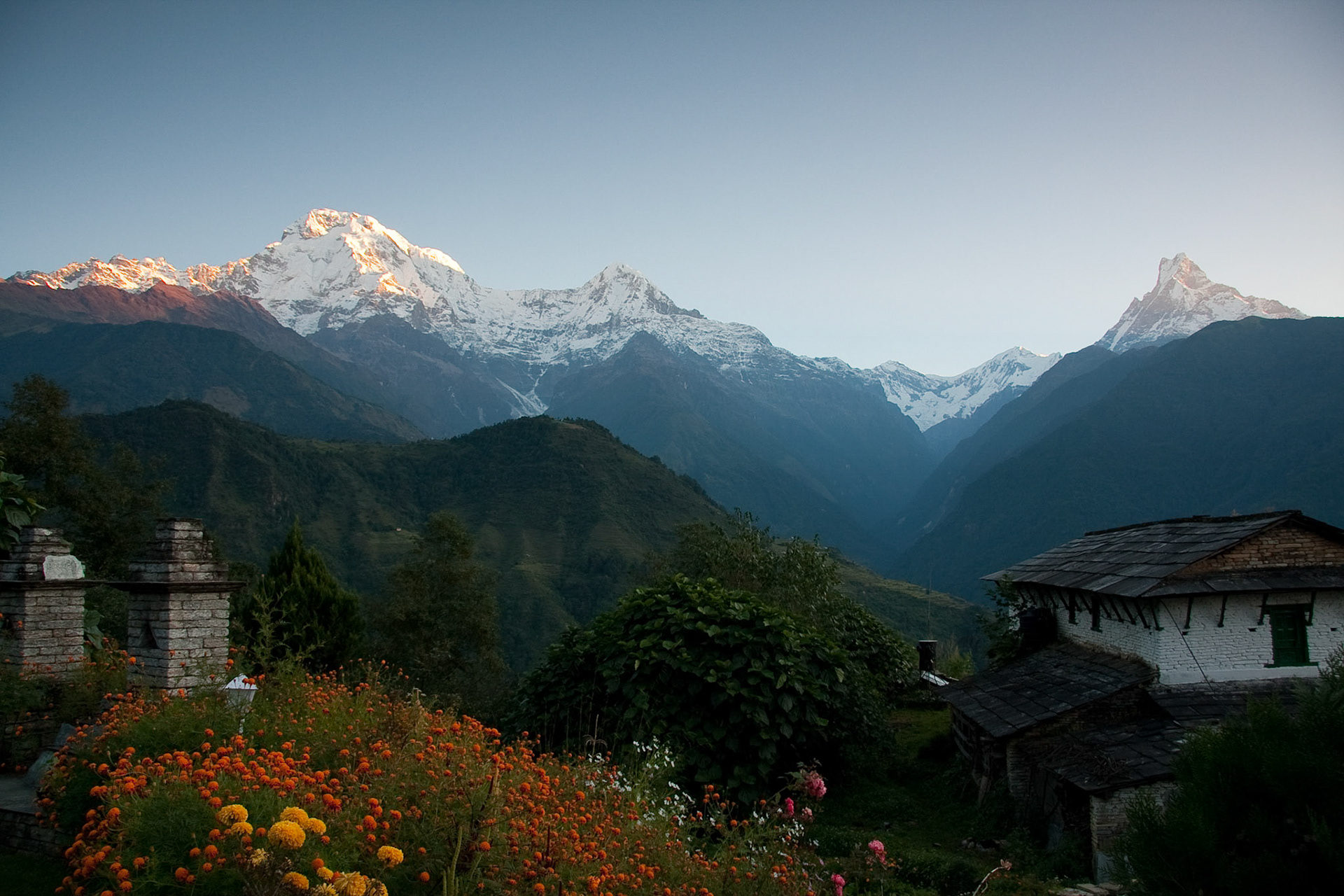 Sunrise at Himalaya Lodge (Annapurna Sth, Hiunchuli and Fish Tail)