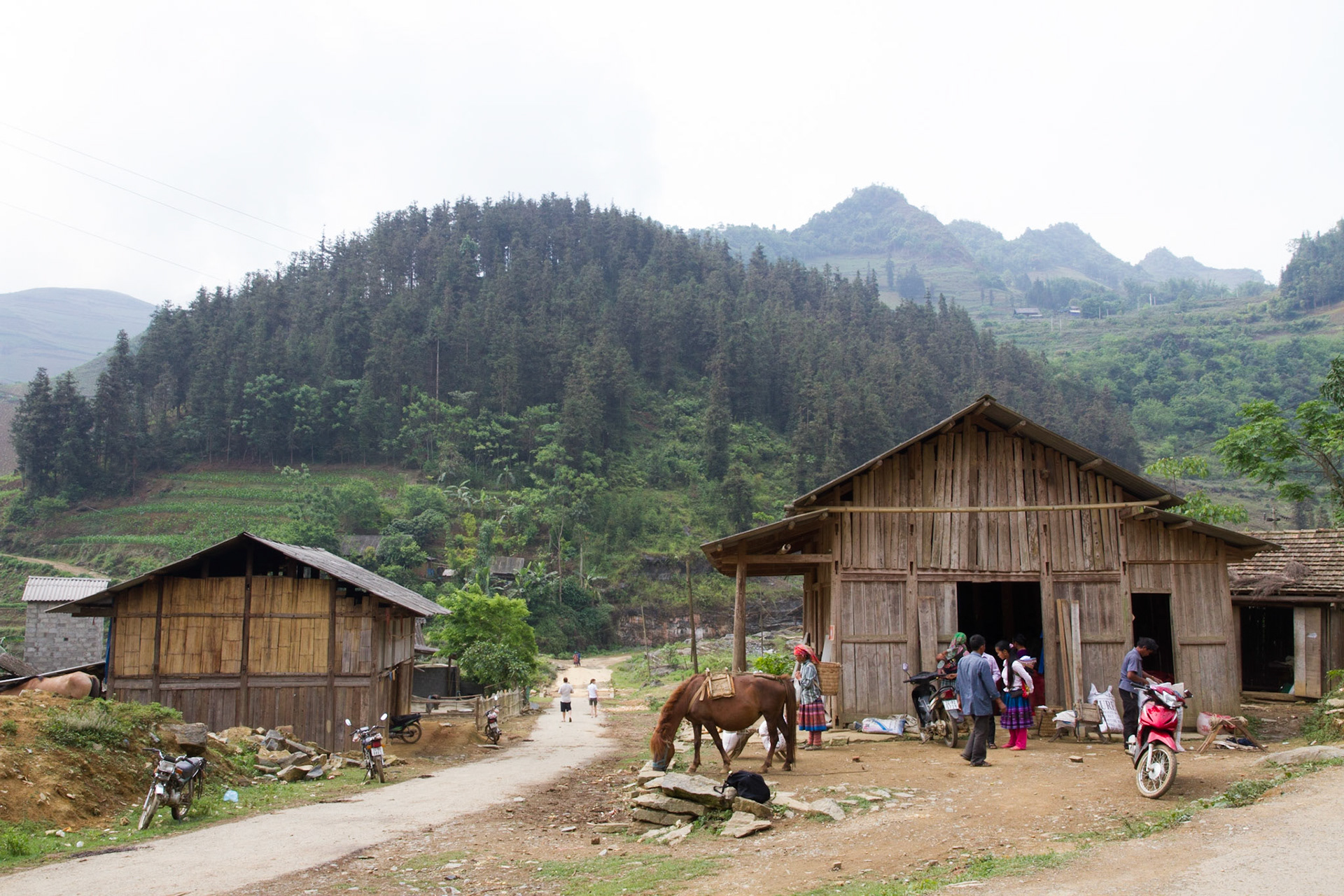 Life in the mountains