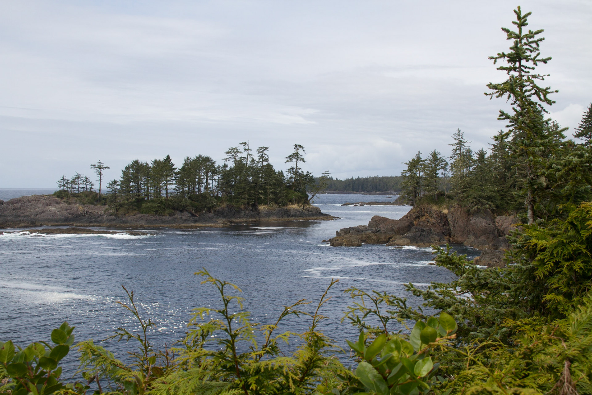 View from Wild Pacific Trail