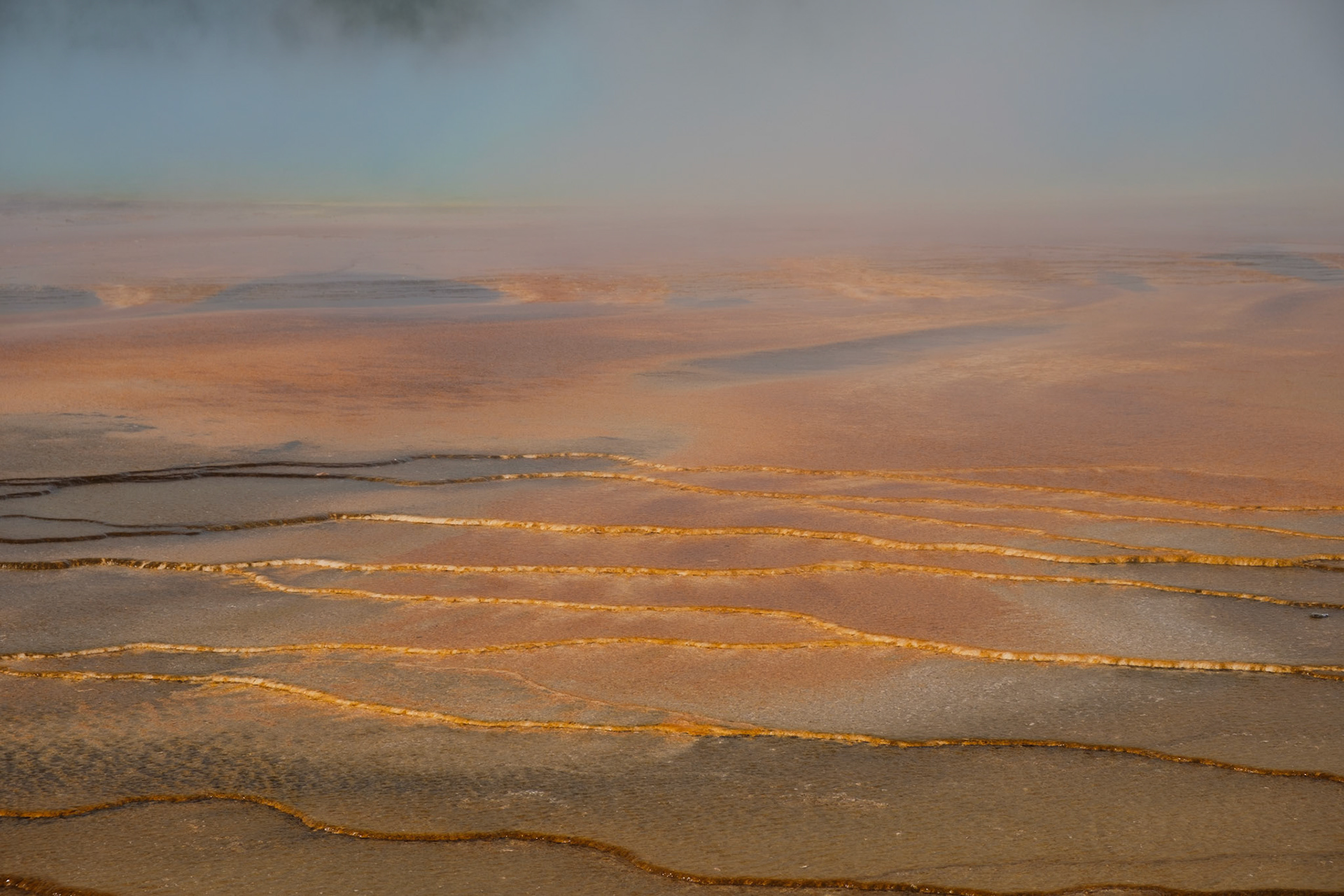 Steam rising from Grand Prismatic Spring
