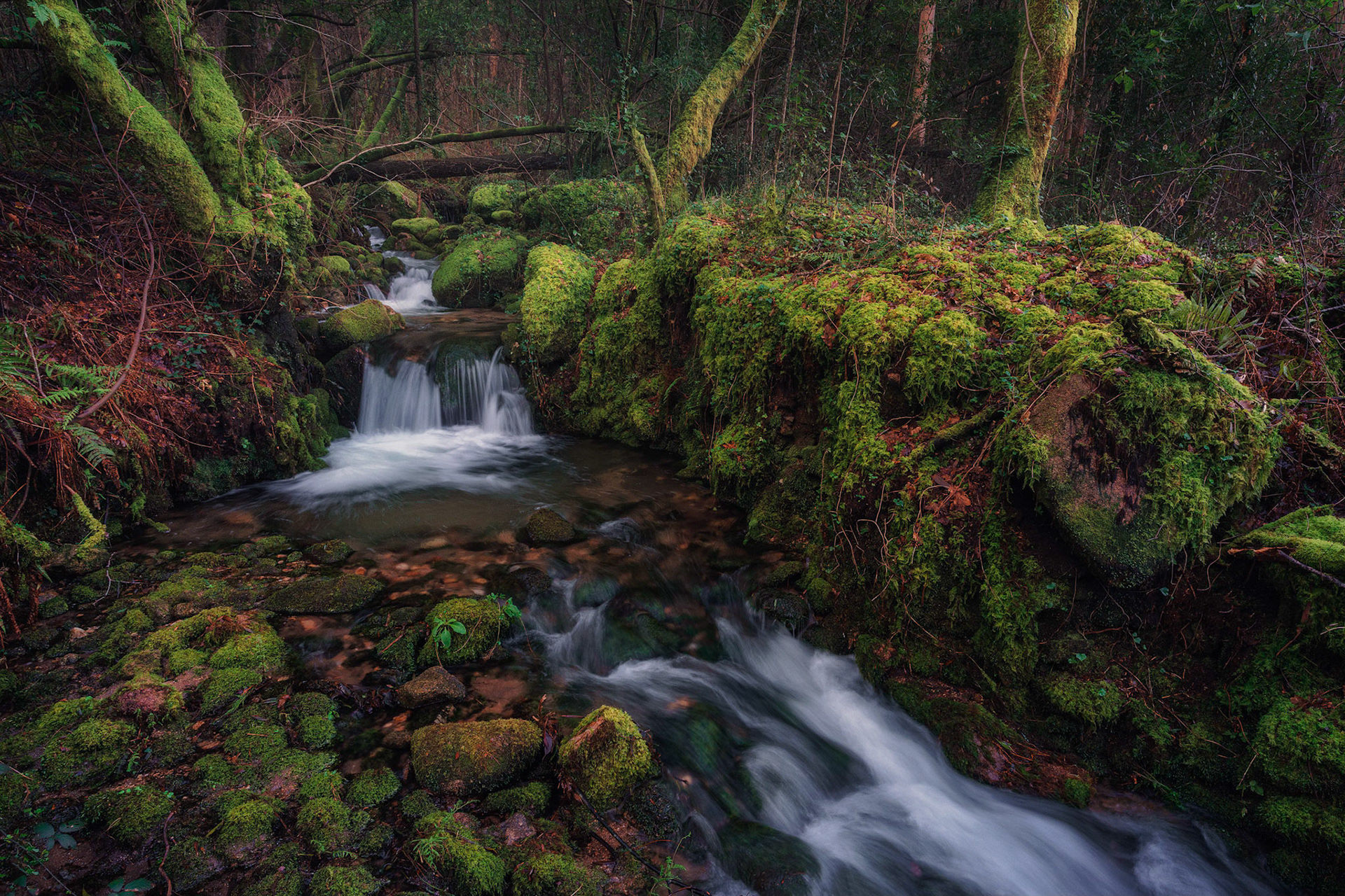 WATERFALL AND LOGS
