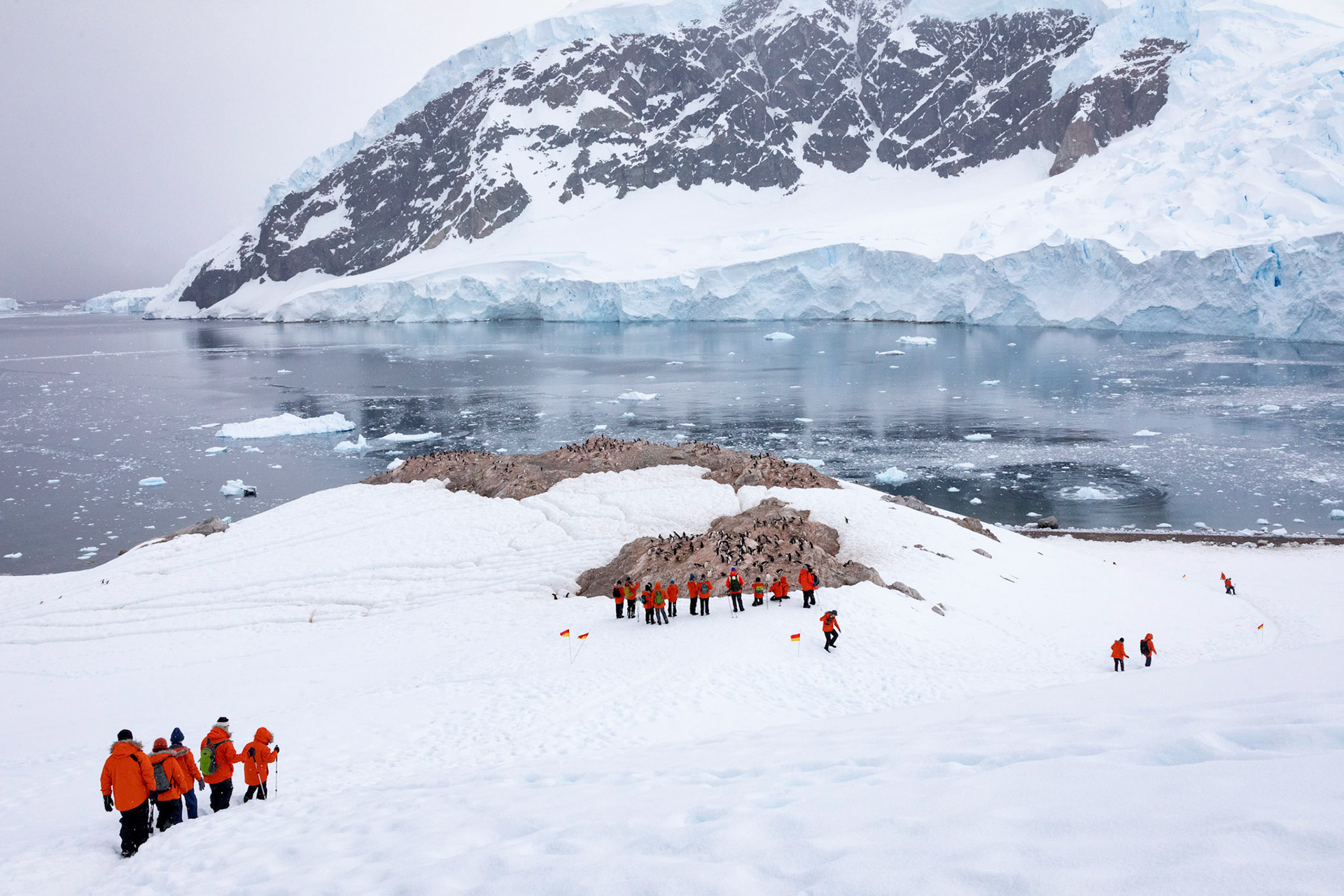 Richard Imes - Antarctica portfolio