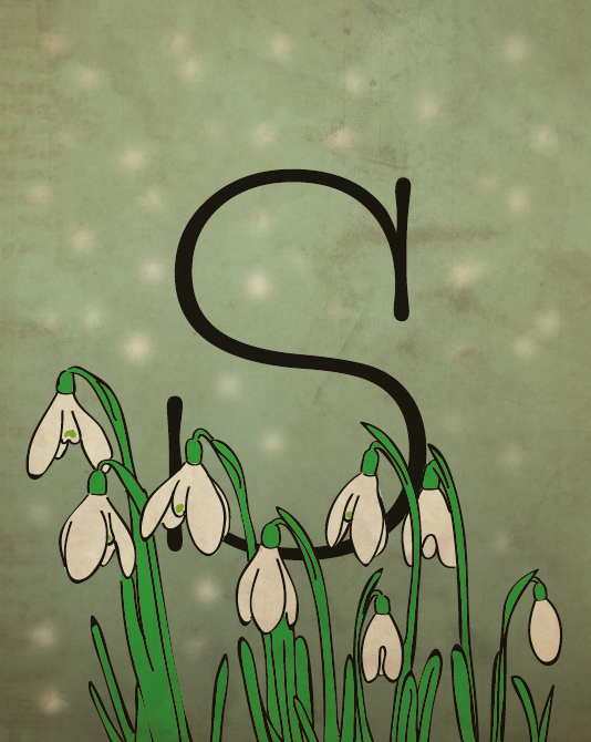 Snowdrop