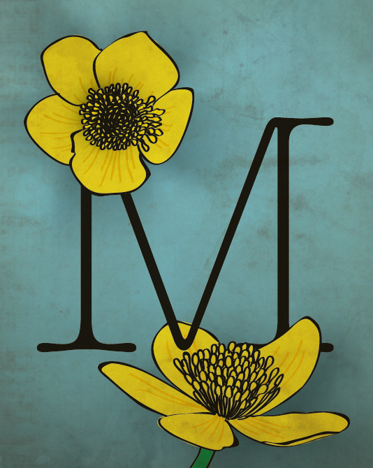 Marsh Marigold