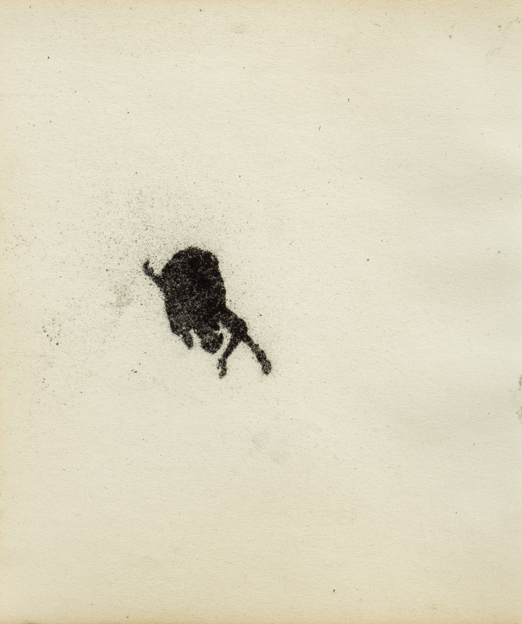 Untitled, graphite(powder) on paper, 23,9 x 20 cm, 2020