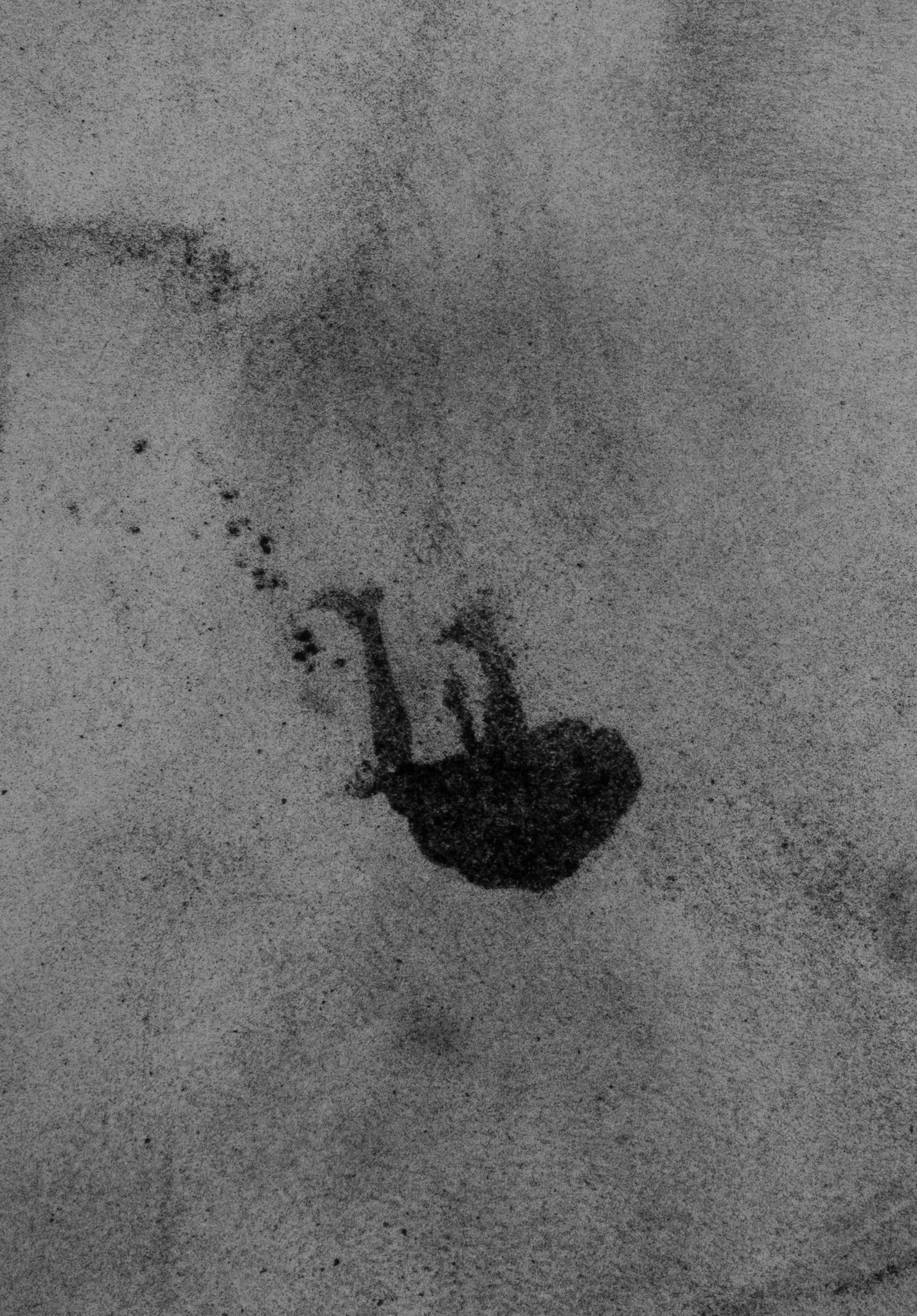 Untitled, graphite on paper, 20,3 x 14,2 cm, 2020