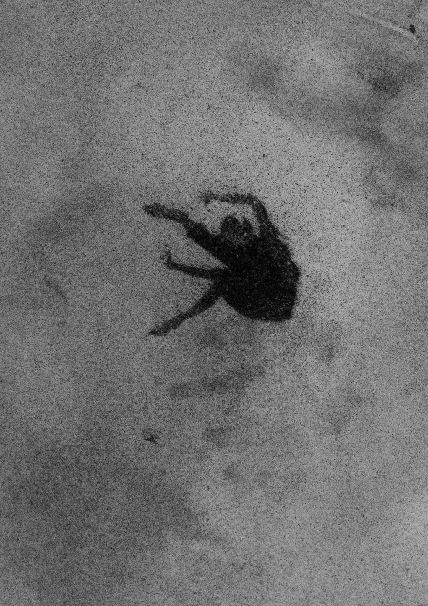 Untitled, graphite on paper, 20,3 x 14,5 cm, 2020