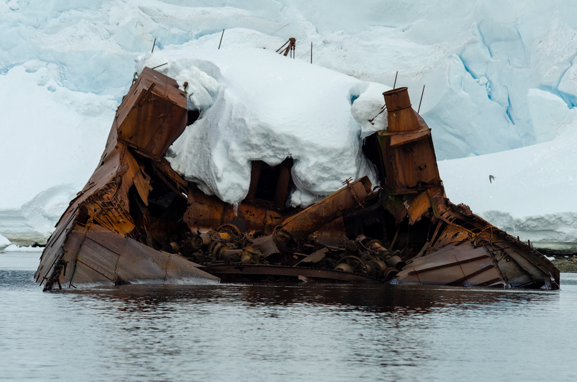 Whaling ship wreck Gouvernoren that burned down in 1916 at Enterprise Island in Wilhelmina Bay.