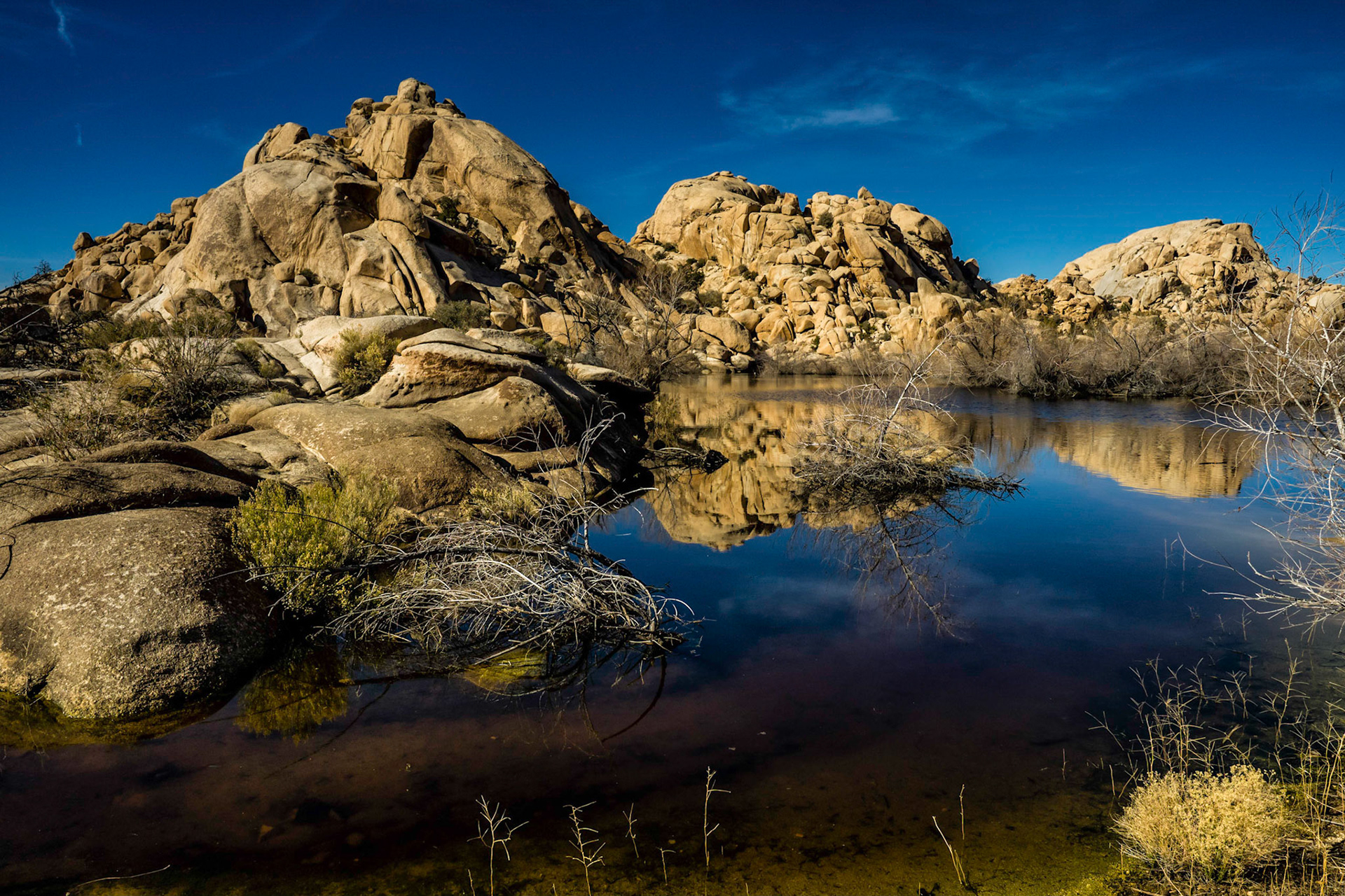 Streams in the Desert