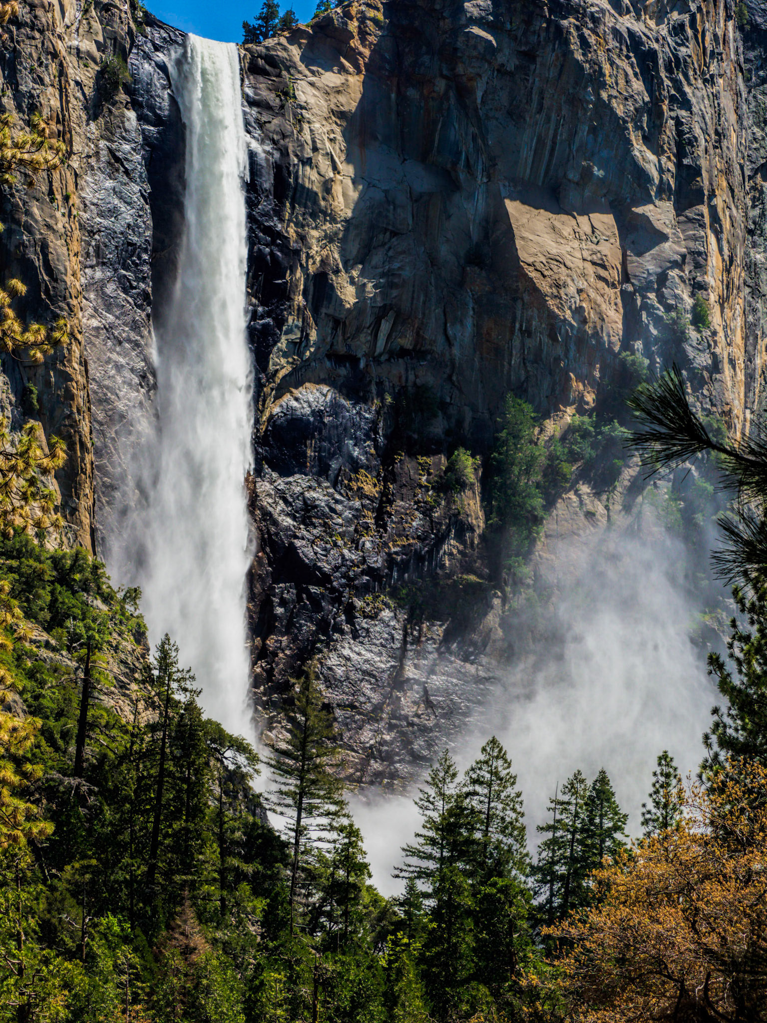 Bridalveil