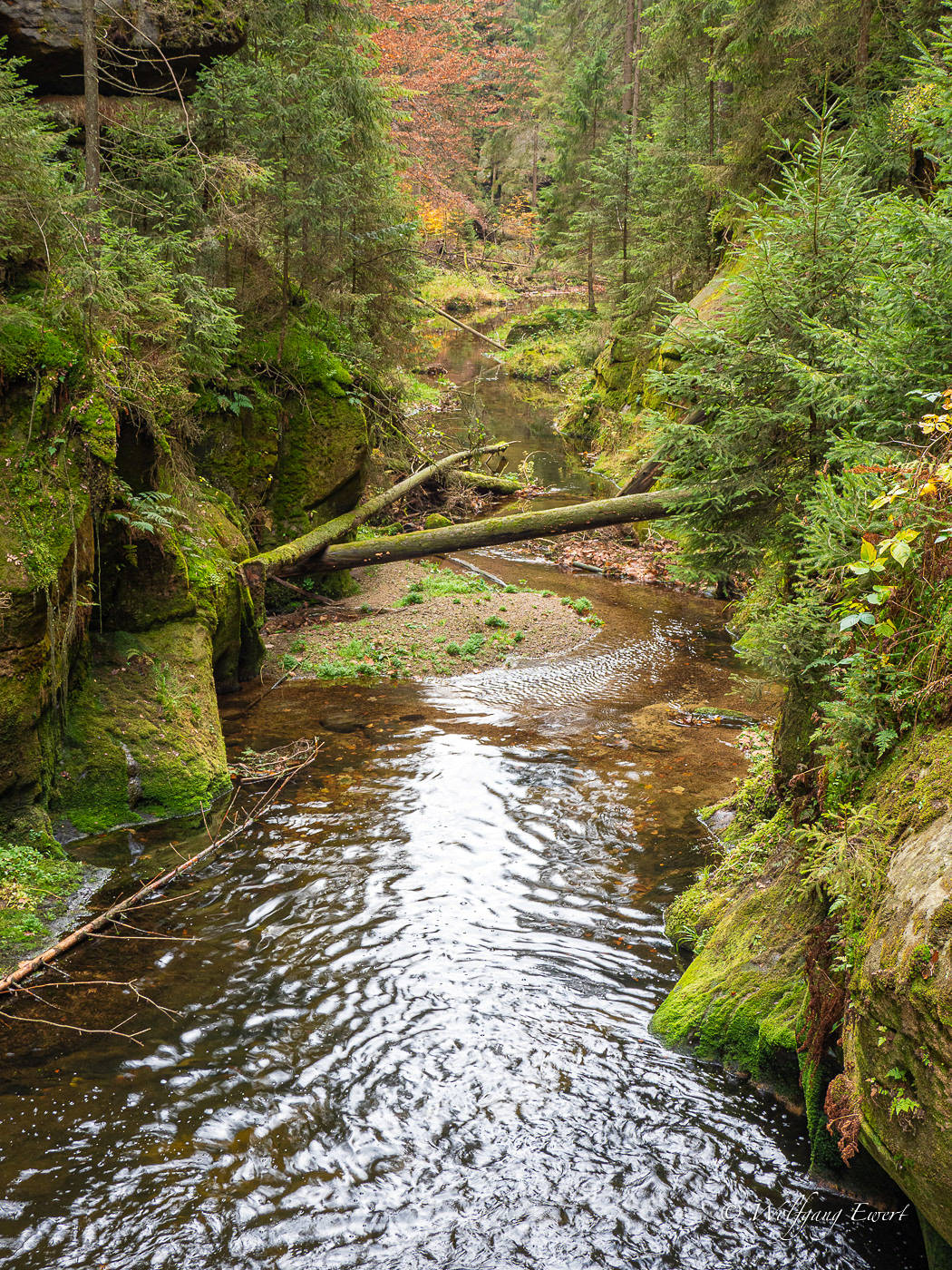 In der Kirnitzschklamm