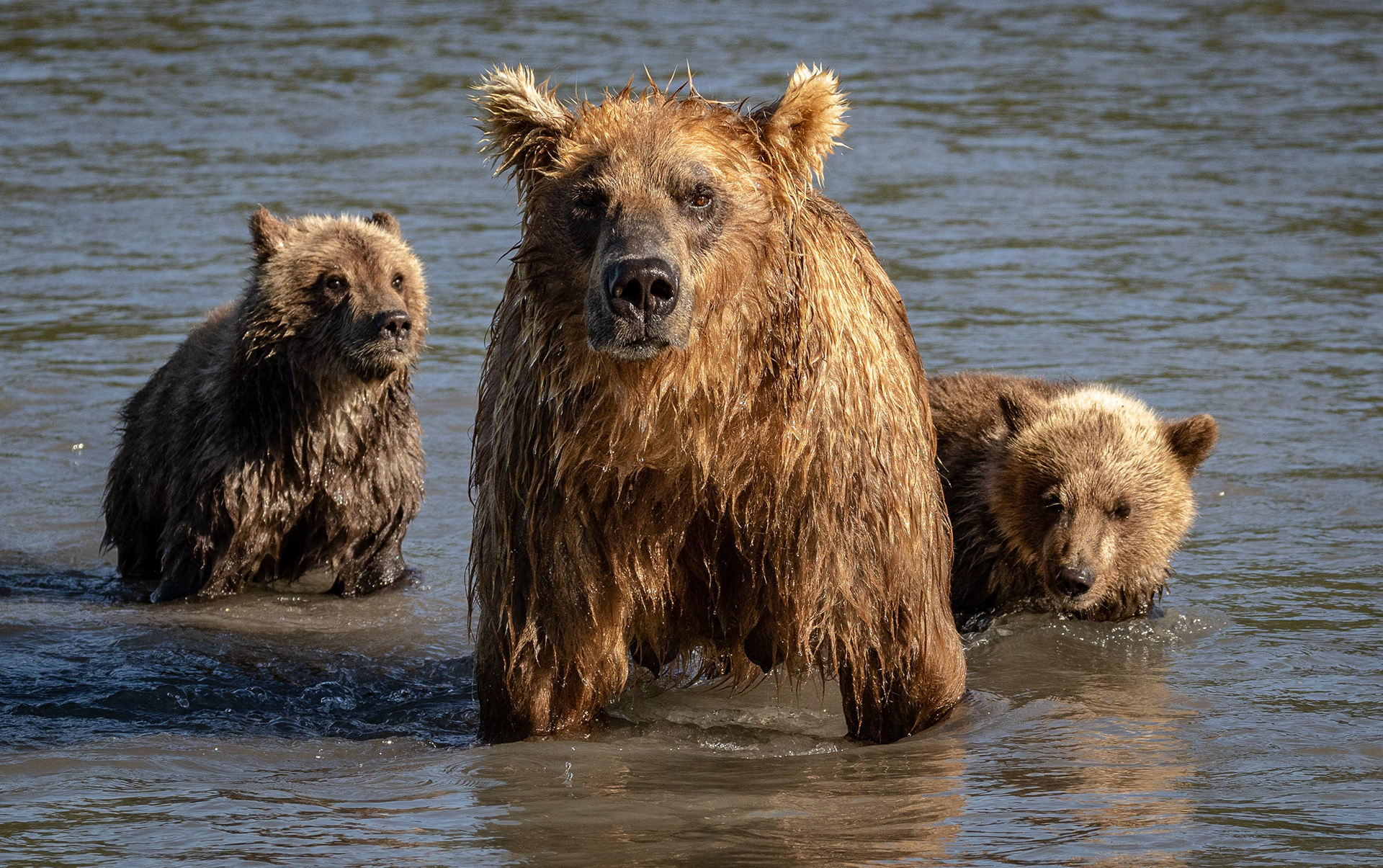 Photography By Eric Lynn - Russia. Kamchatka.