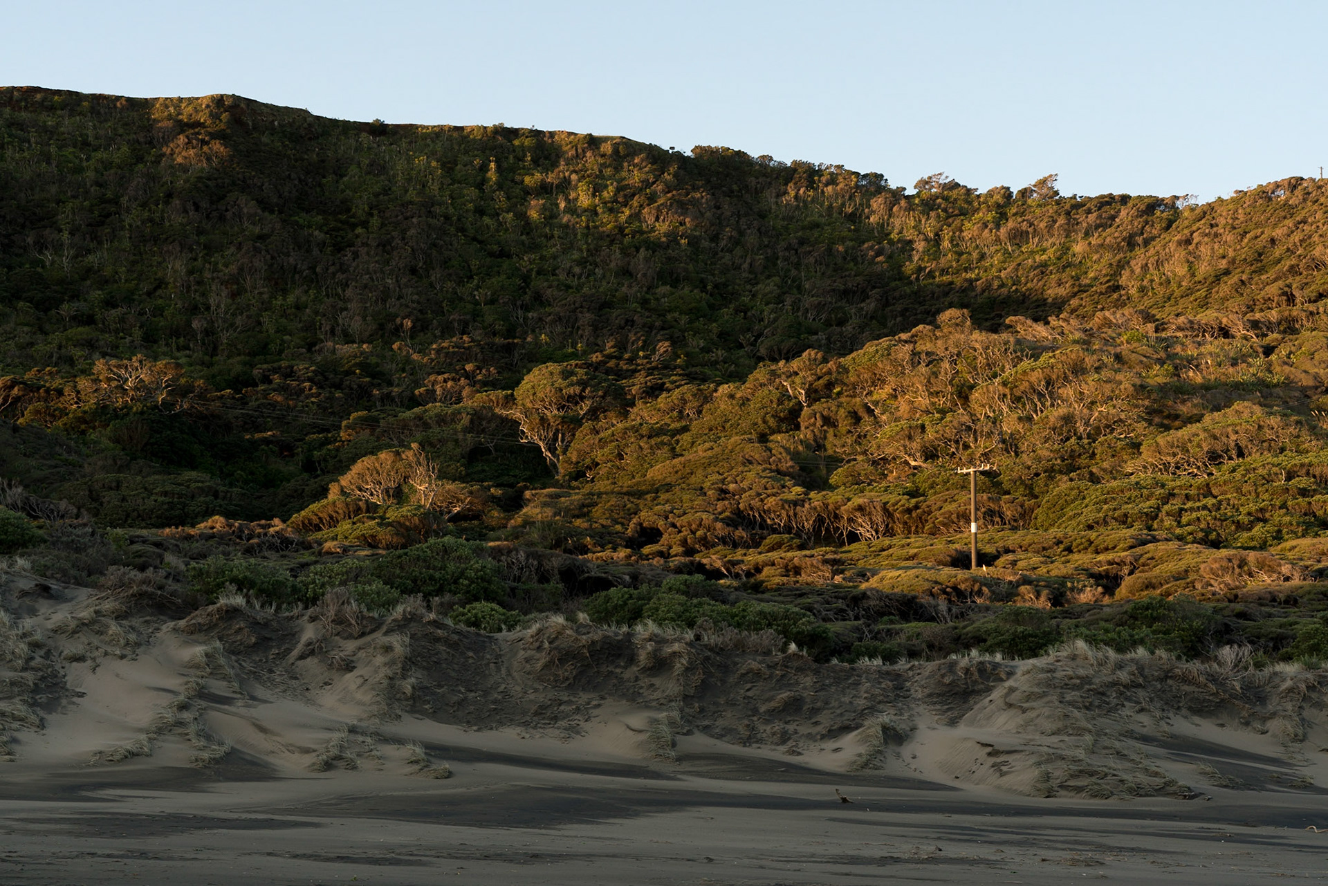 Bethells Beach