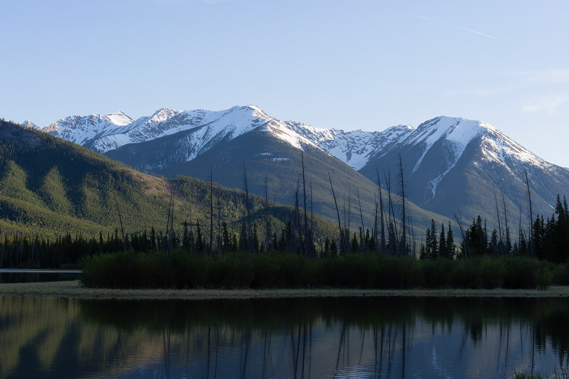 Reflections in the Vermillion Lakes, near Banff AB