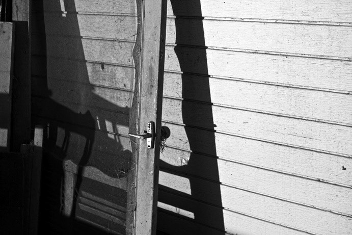 Screen Door, Modesto, California