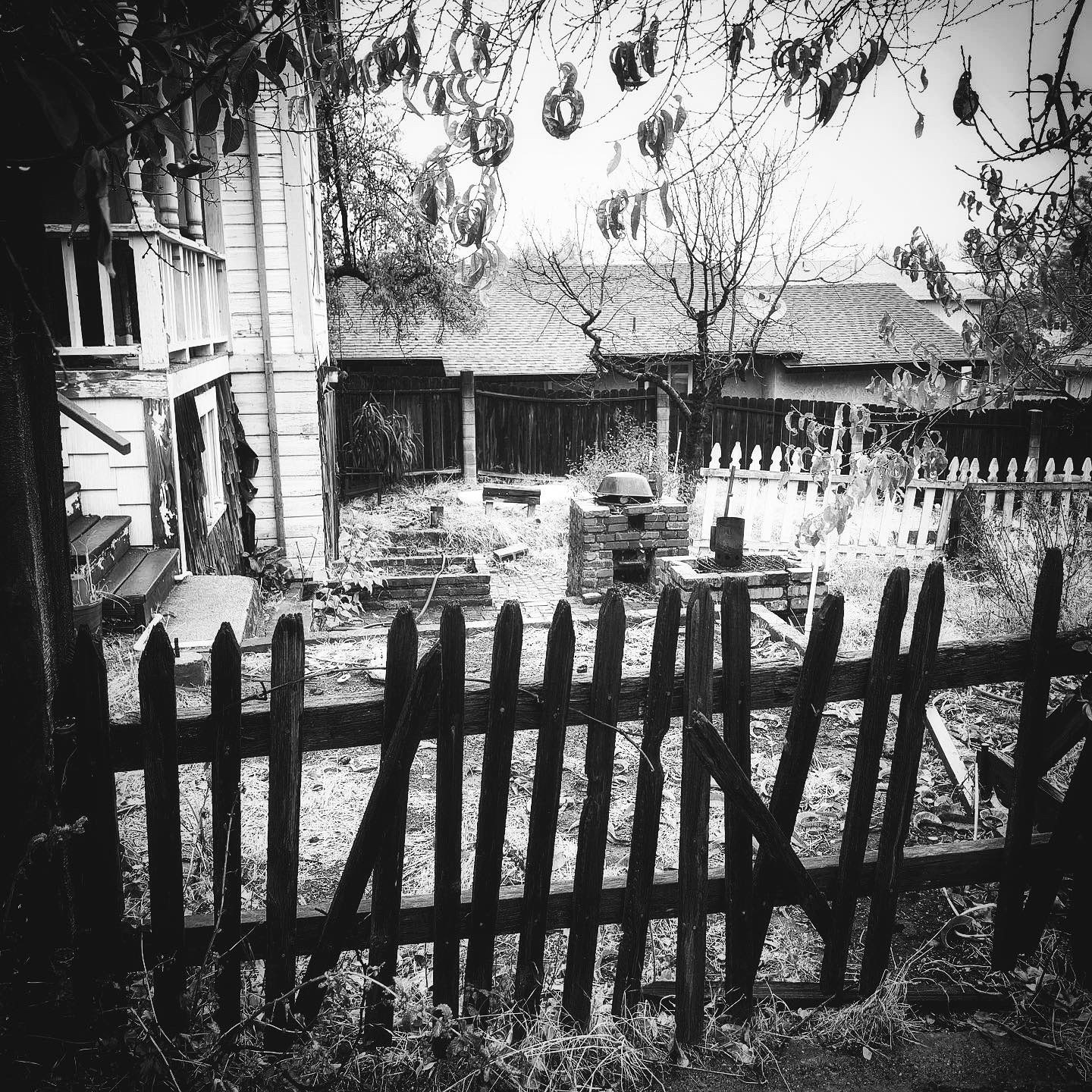 Backyard, Black and White