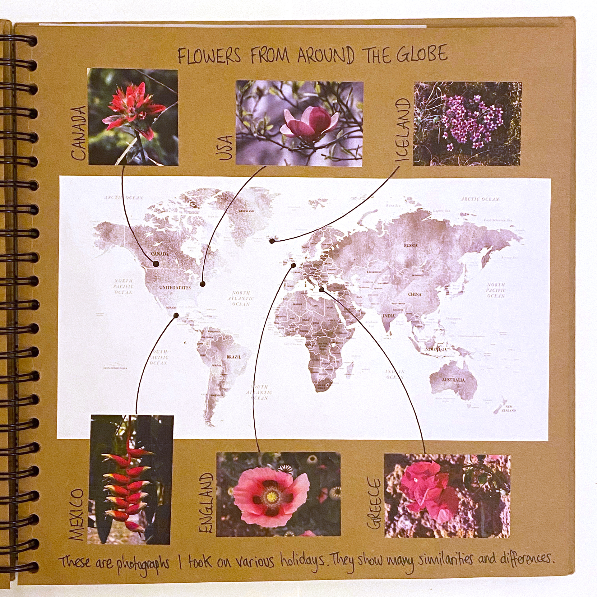 Kingsley Art Gcse Introductory Project Exemplar Kingsley Art Gcse Introductory Project Exemplar