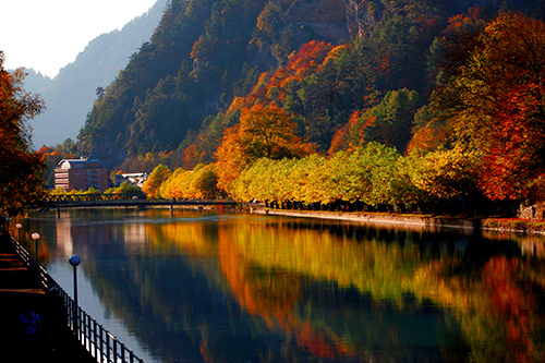 Beautiful Fall colours in the hillside at Interlaken, SW canal with reflections; UA-92916515-1