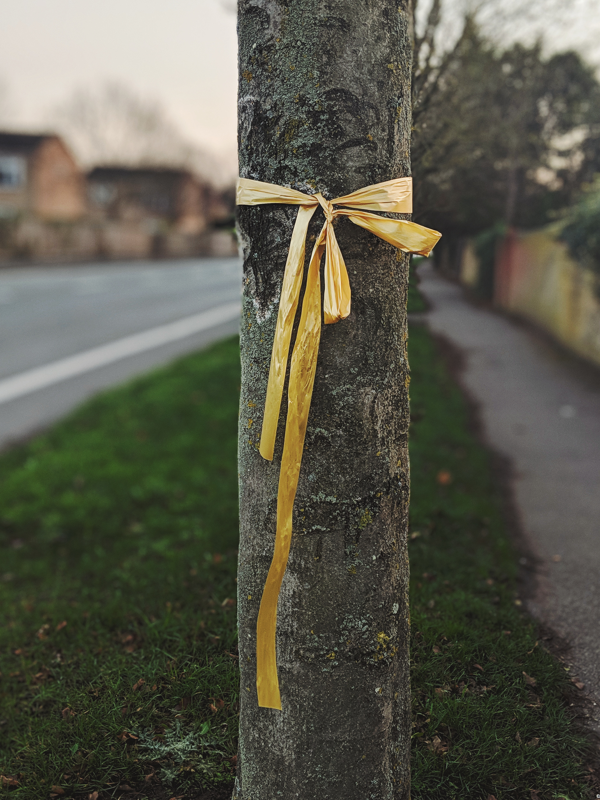 Arbury, Cambridge, UK - HB