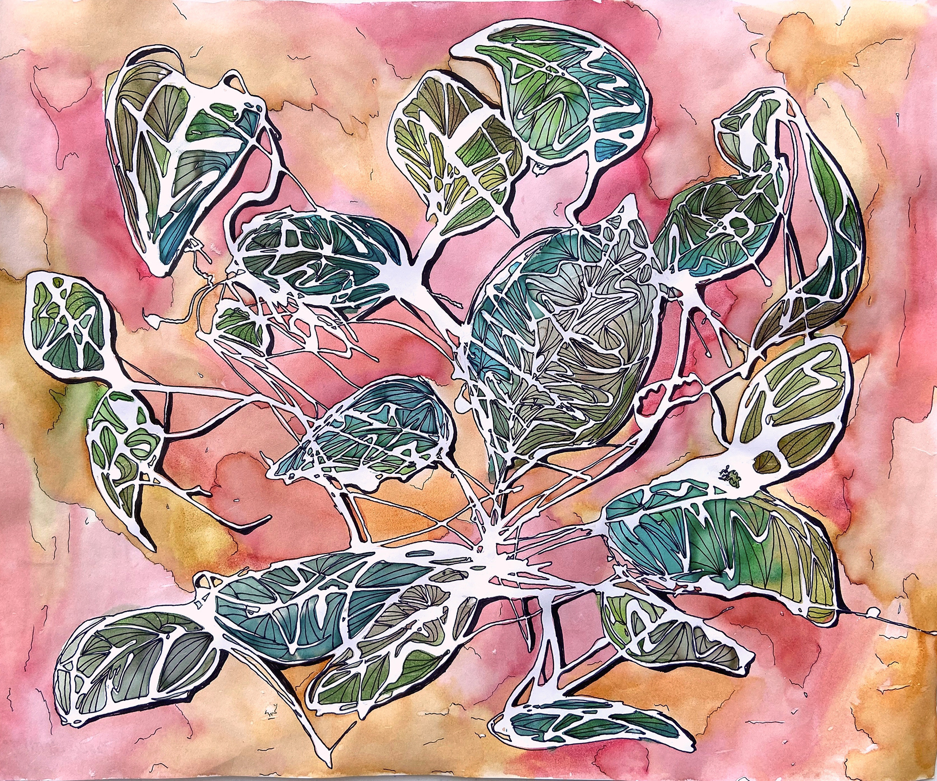 Hayley Welsh, Complementary Foliage, Drawing & Illustration, Lakewood High School, Educator: Arline Olear, Grade 12,  Honorable Mention