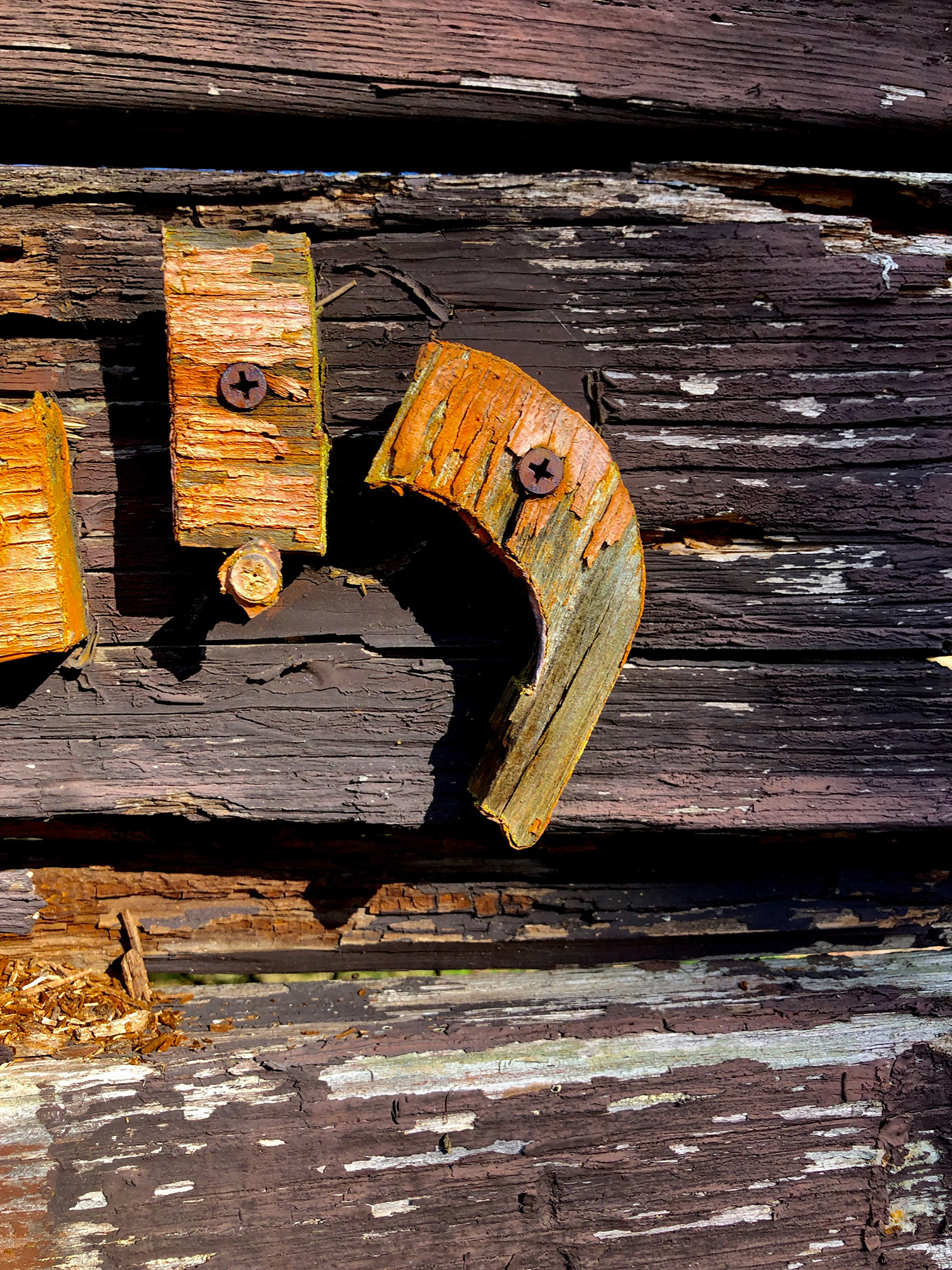 Cambell Crowley, Straggler, Photography, University High School, Educator: Michael Starinsky, Grade 11,  Honorable Mention