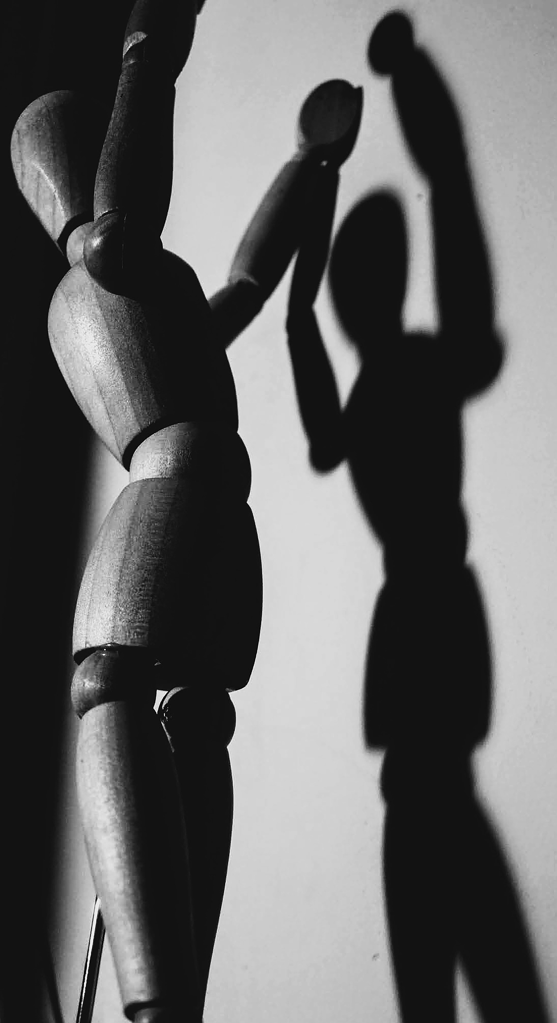 Amelie O'Connor, Contagion, Photography, Orange High School, Educator: Melissa Conrad, Grade 12,  Honorable Mention