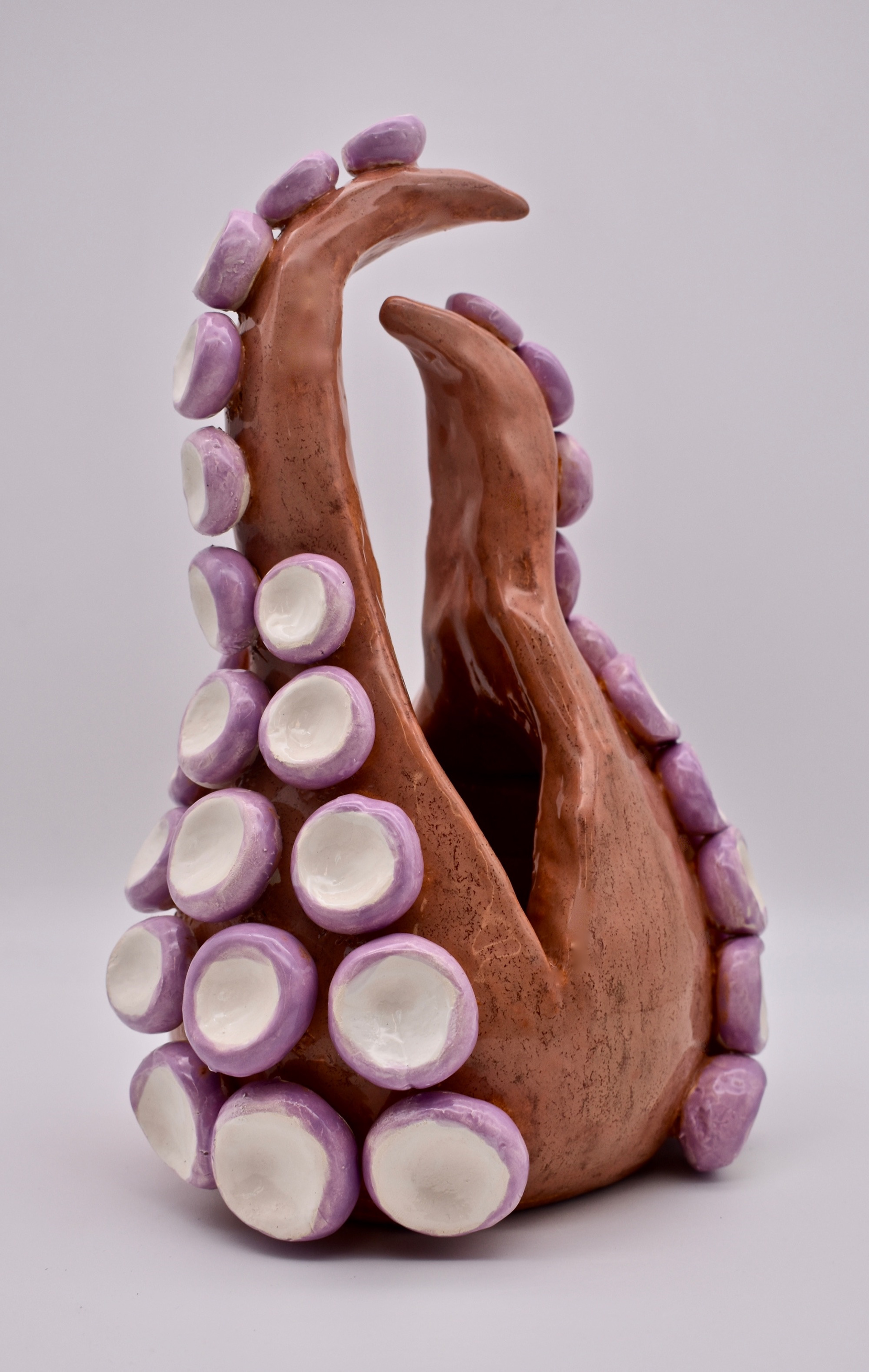 Peyton Gellin, Tangled Tentacles, Ceramics & Glass, Chagrin Falls High School, Educator: Libby Harrold, Grade 11,  Honorable Mention
