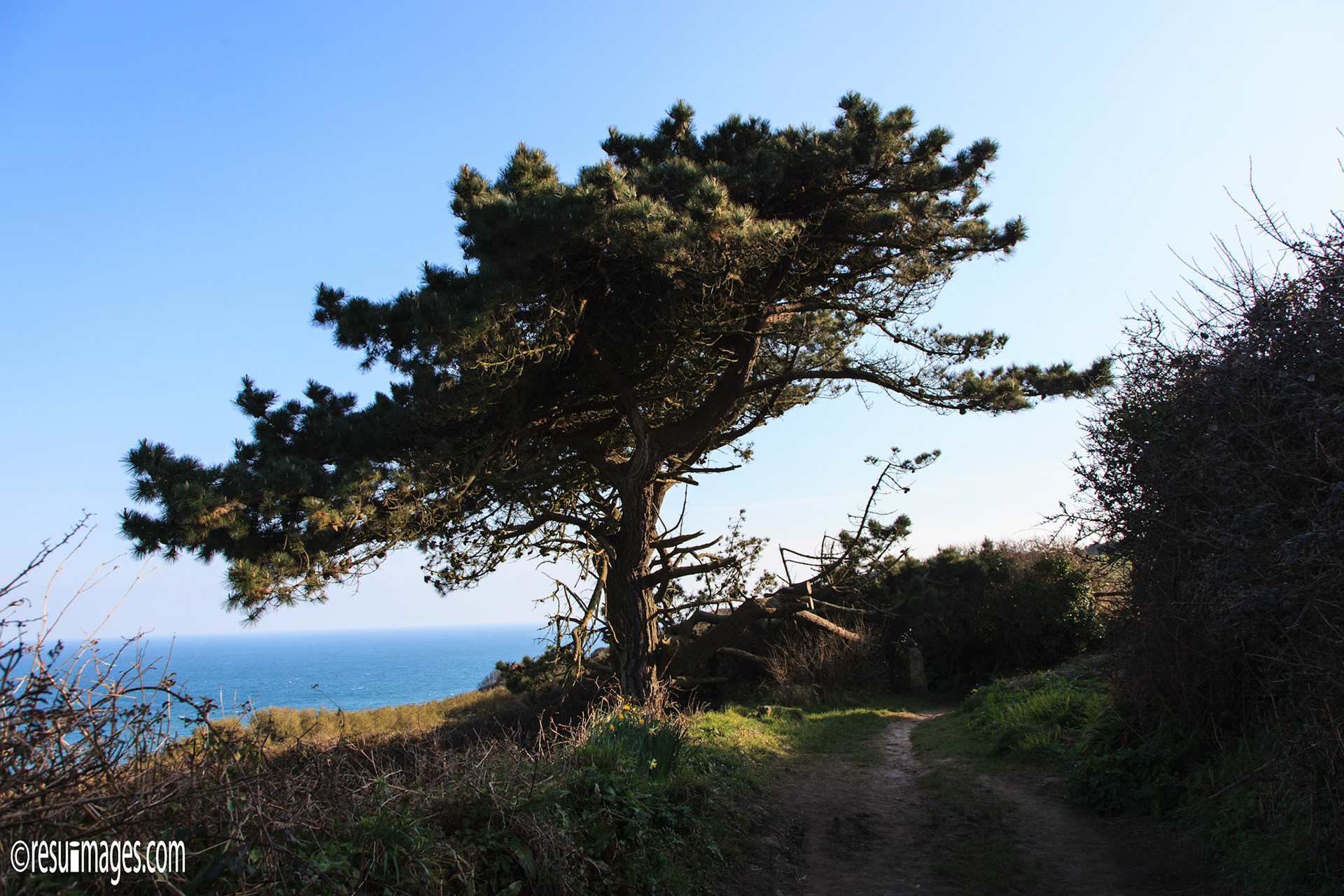Mousehole, Cornwall, GBR
