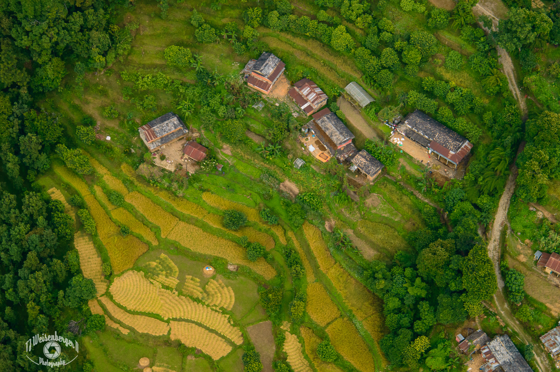 Paragliding Over Rice Terraces - Pokhara, Nepal; Aerial Photography; Aerial View; Landscape; Landscape - Scenery; Mountain; Mountains; Nepal; Paragliding; Photography; Planet Earth; Pokhara; Rice - Cereal Plant; Rice Paddies; Rice Paddy; Rural Scene; Scenics - Nature; Sunny; Tourism; Travel Destinations; Village; aerial; outdoors; rural; T.J.; TJ; Weiseberger