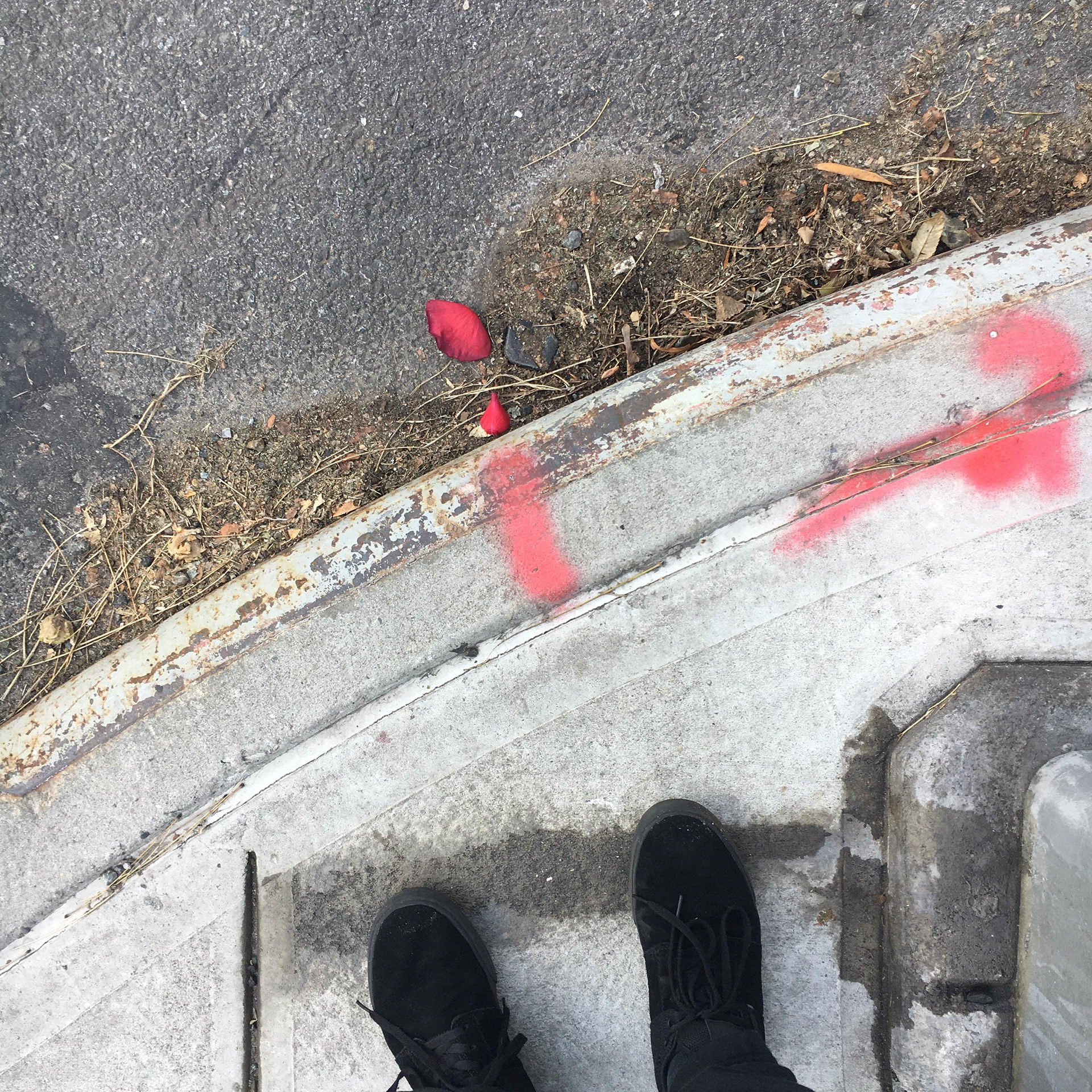 'Brooklyn Corner' - 2020