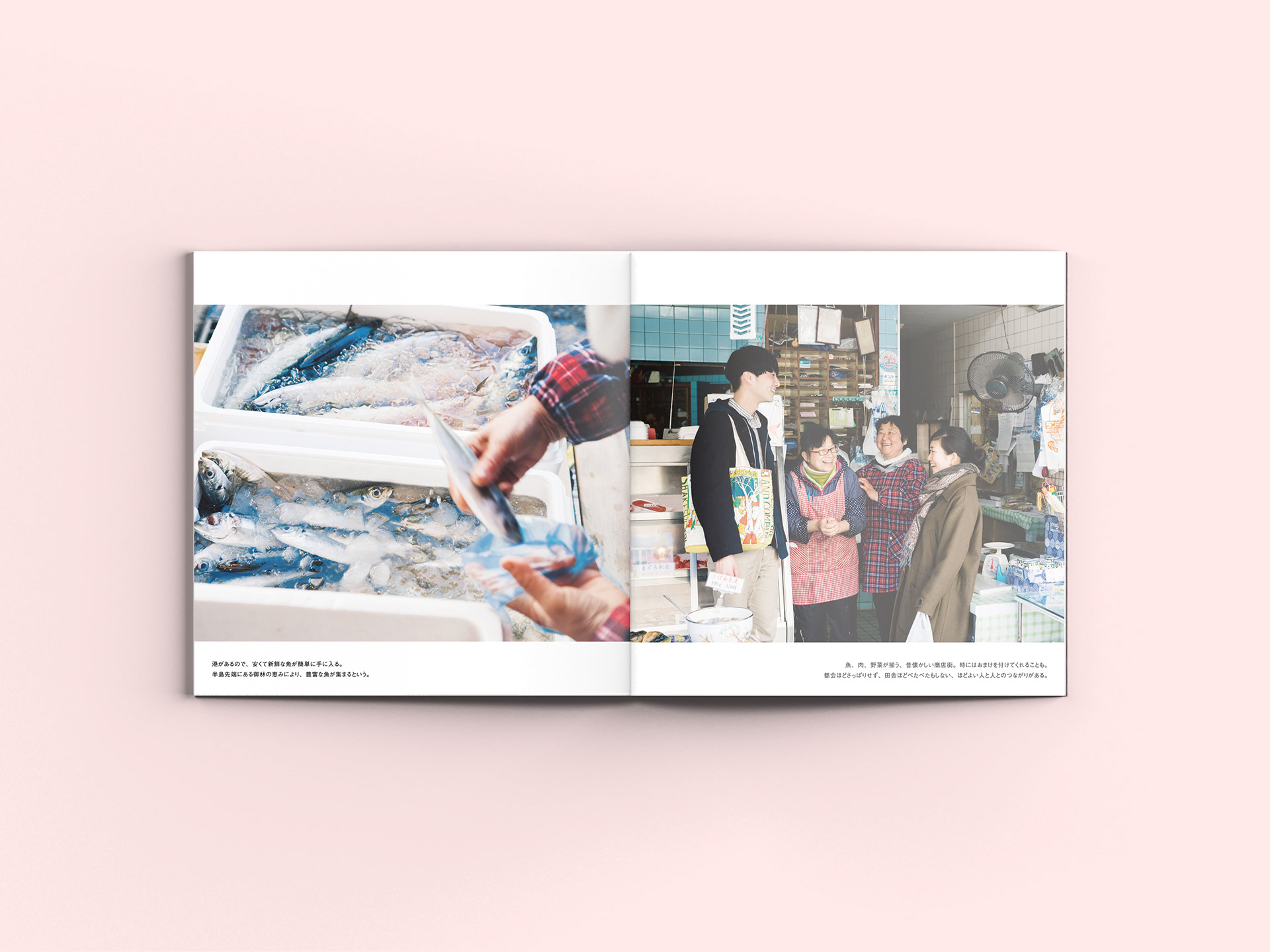 Takada Chika Potoreto Design 小さな町で 仕事をつくる冊子デザインと表紙イラストレーション