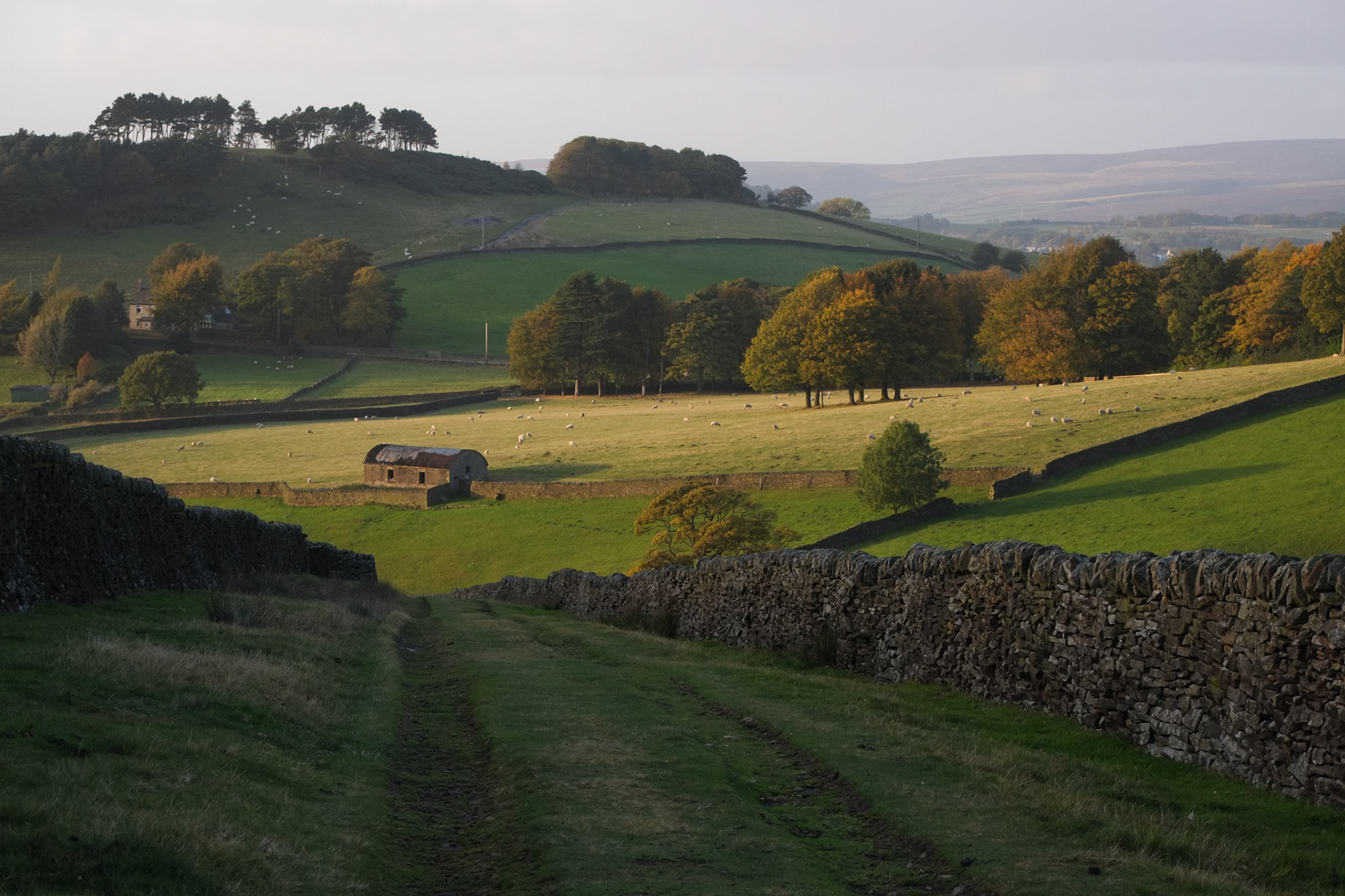 Bray Clough