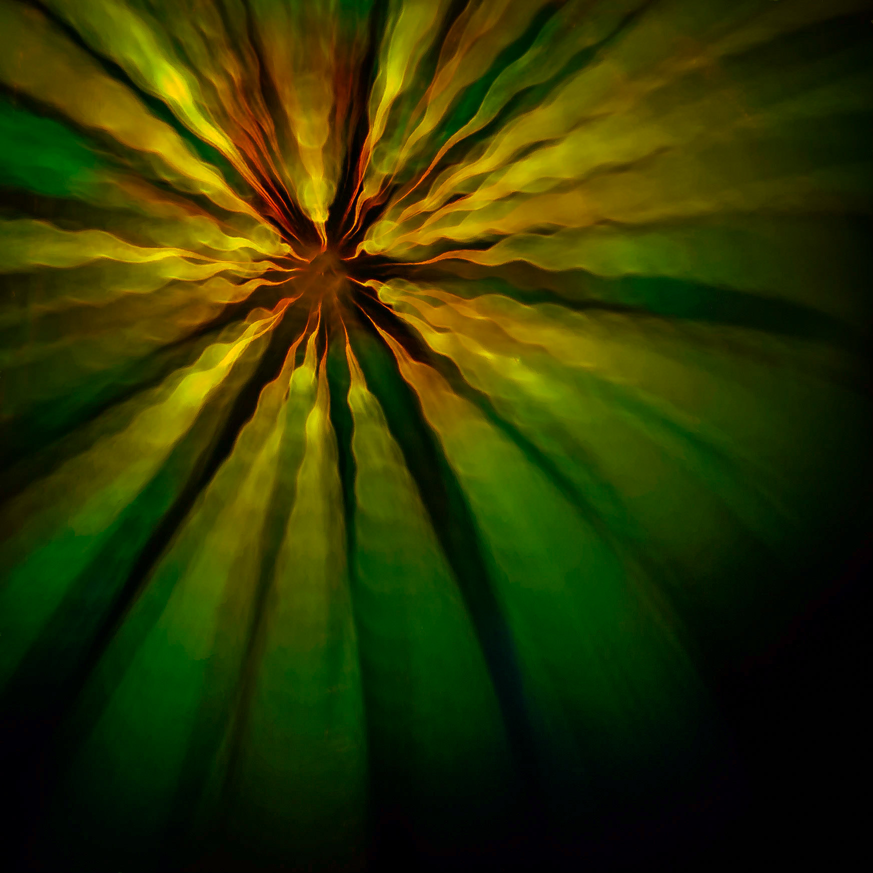 FIREWORKS 5