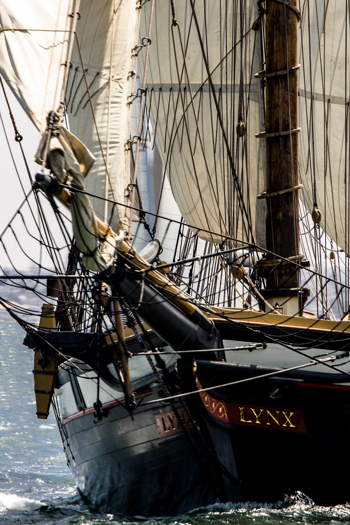 The Linx in San Diego Harbor