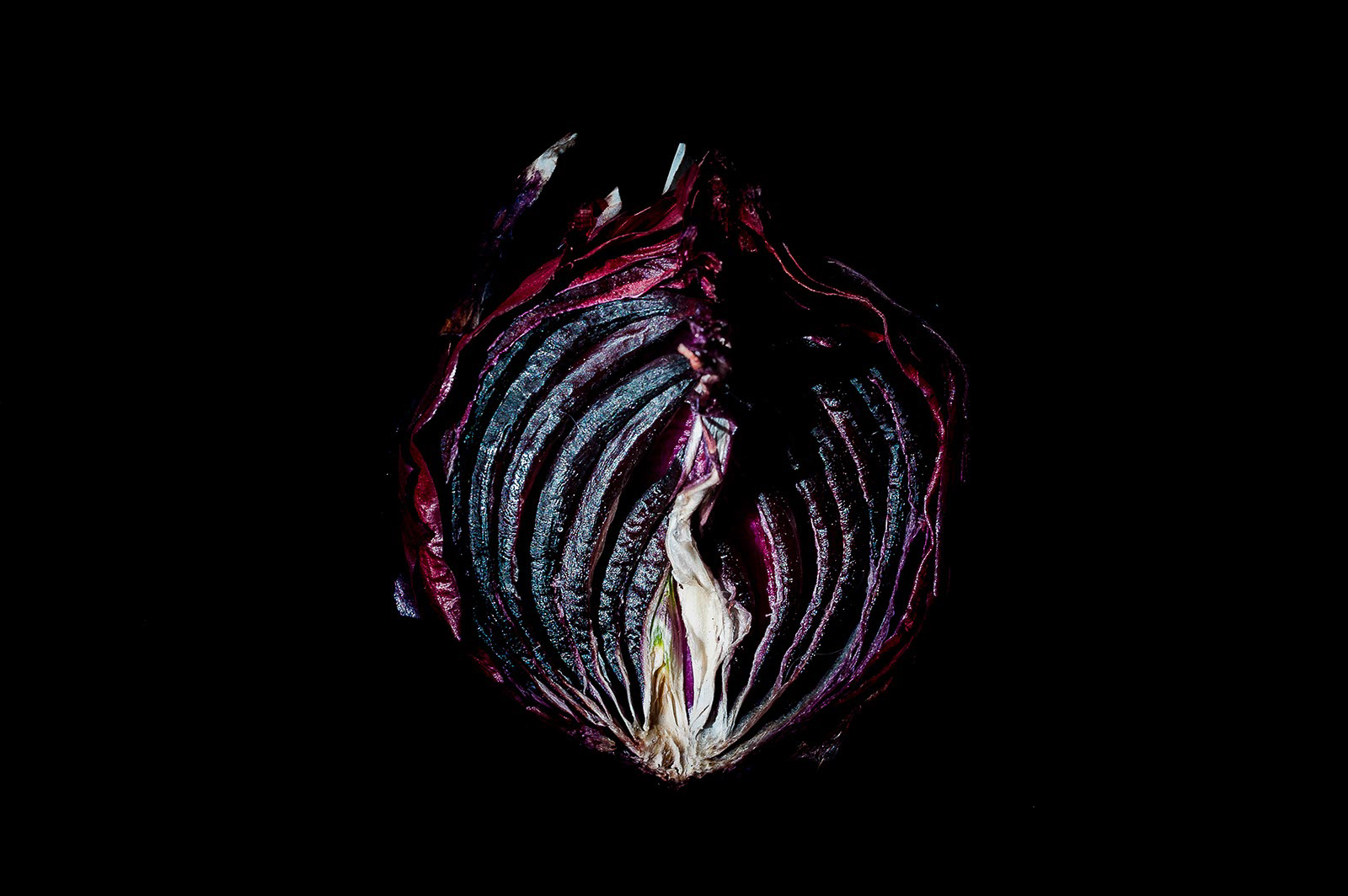 Corruption(s) - The Lady - Photographie Numérique en Studio - France- 2016