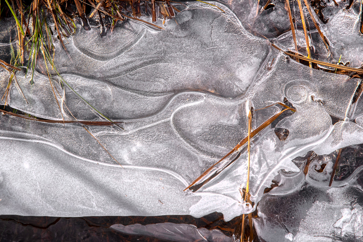 Ice patterns © Irwin Seidman